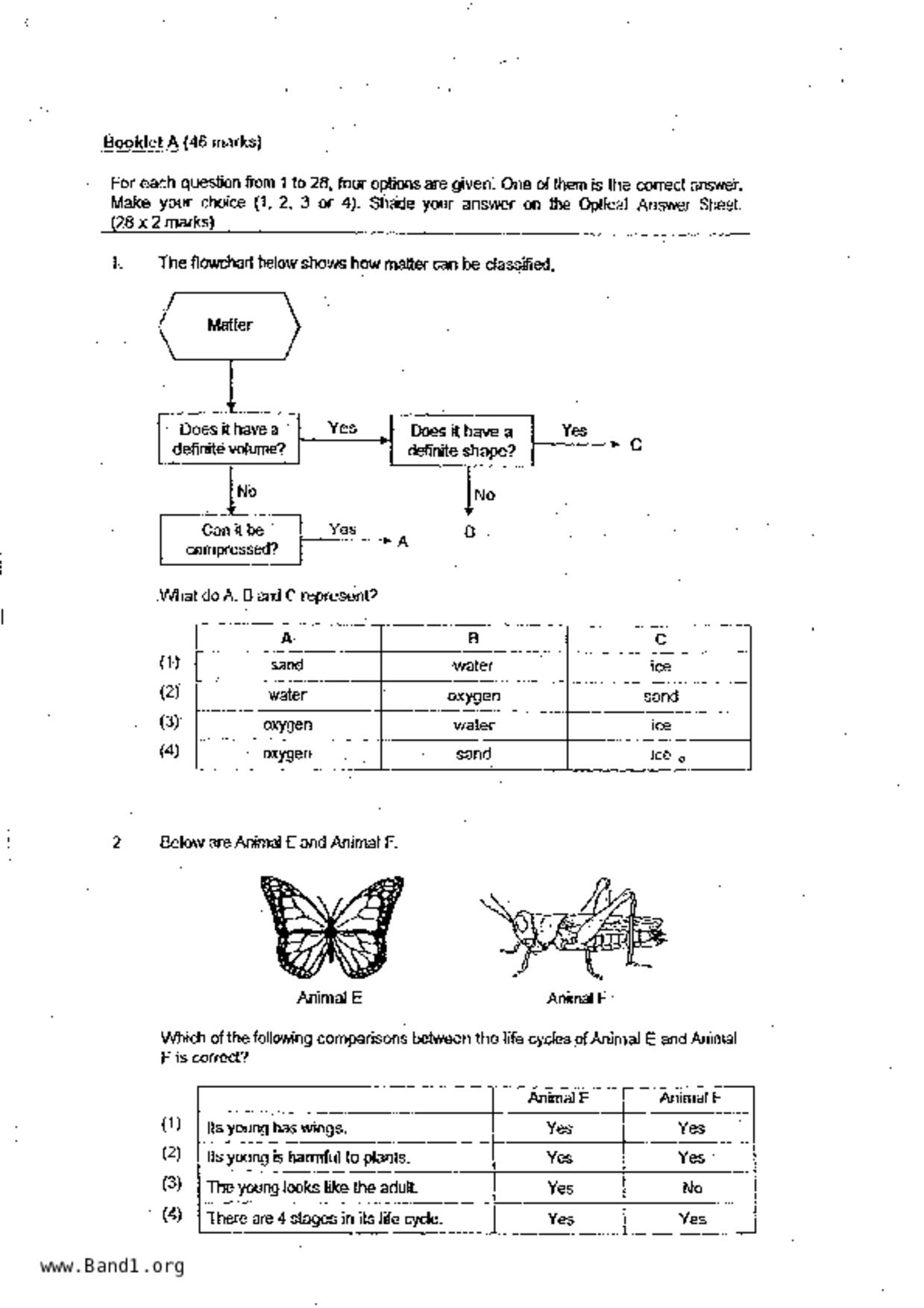 P6Science試卷