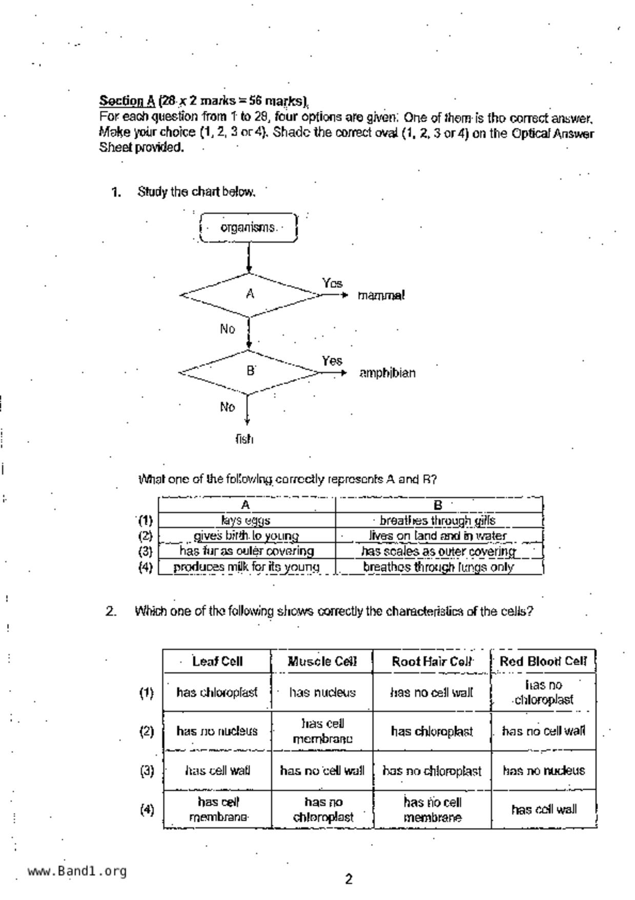 P6Science試卷