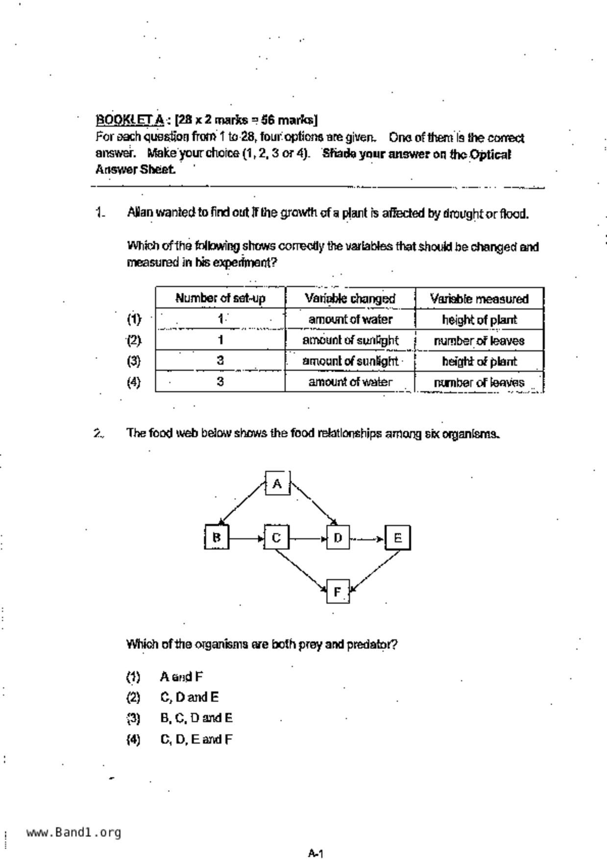 P6Science試卷