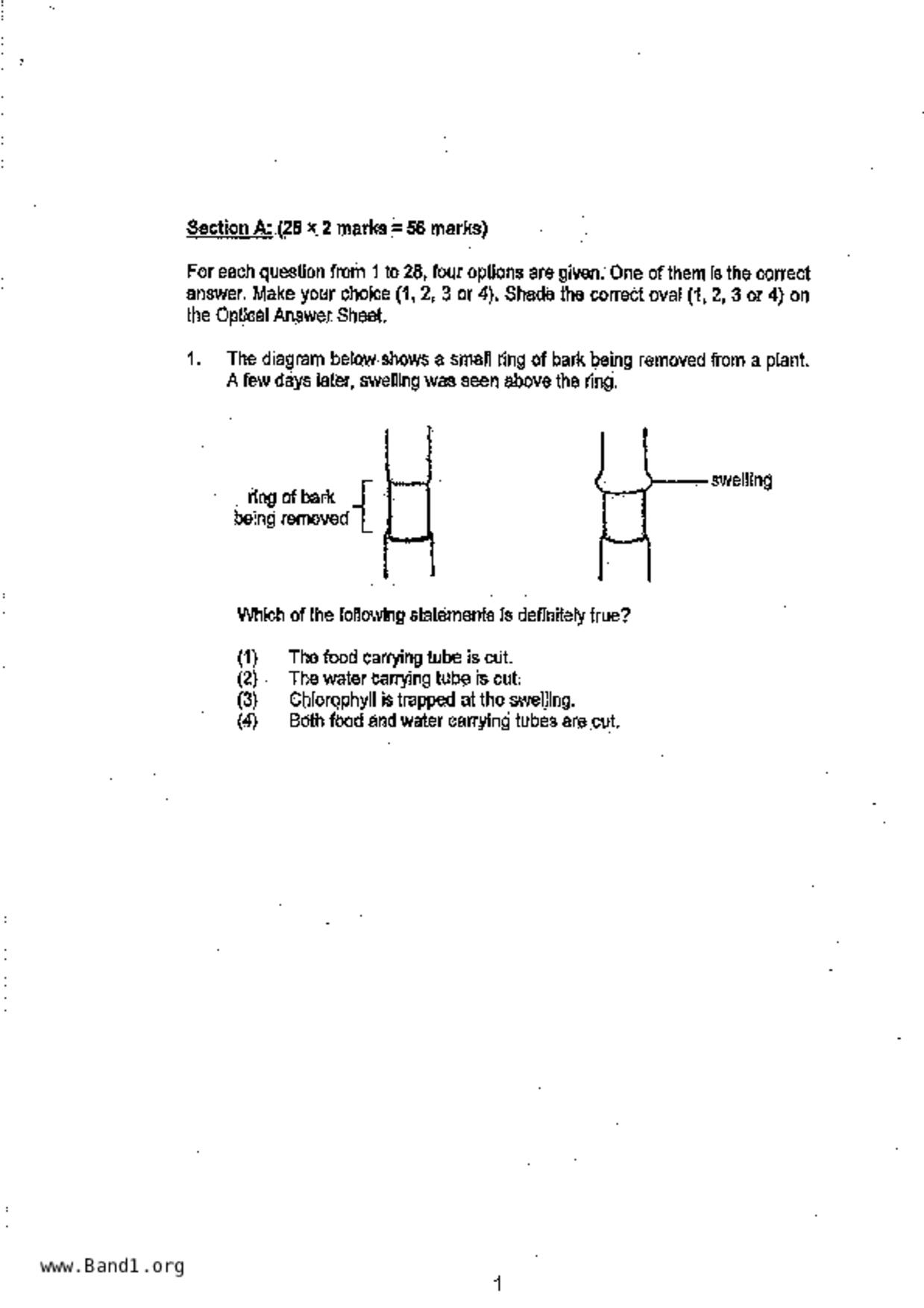P6Science試卷