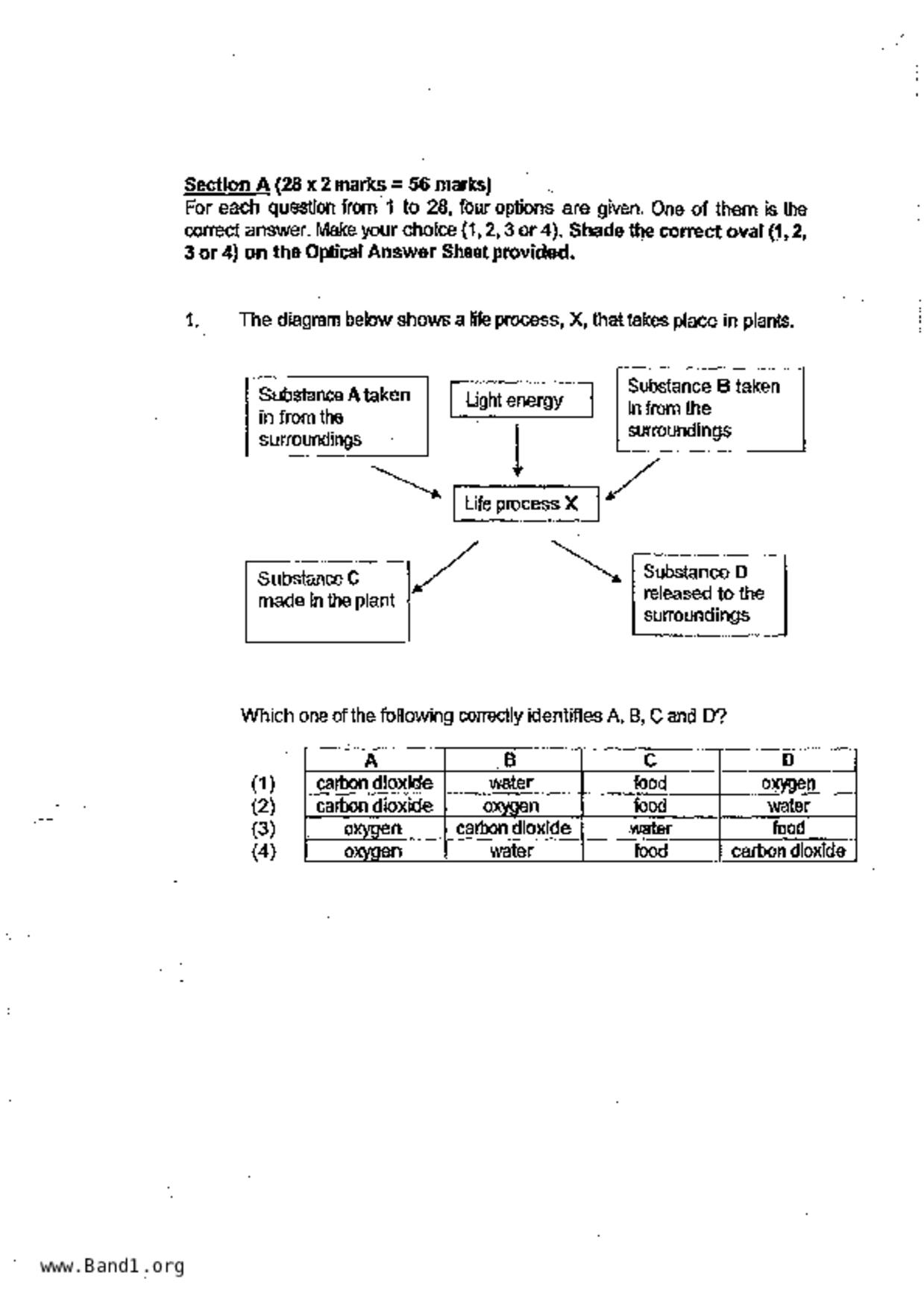 P6Science試卷