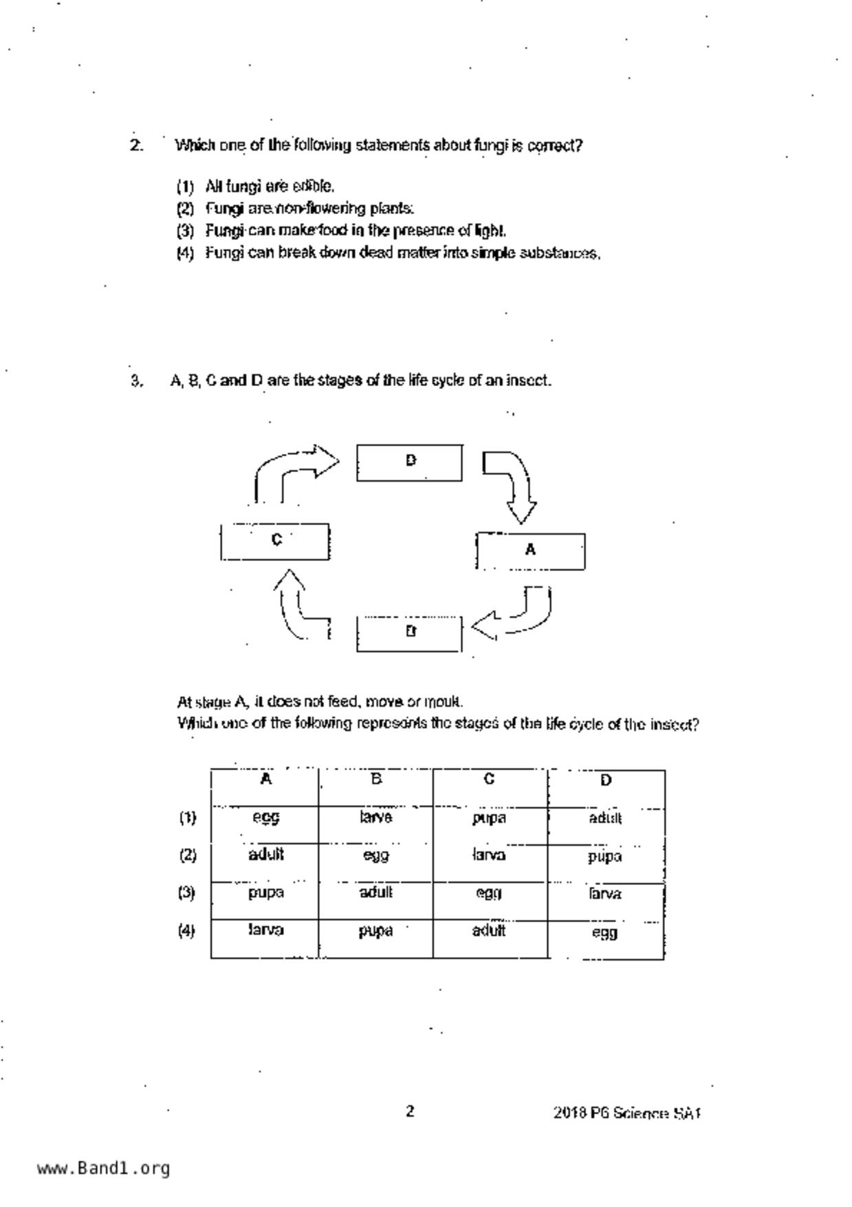 P6Science試卷
