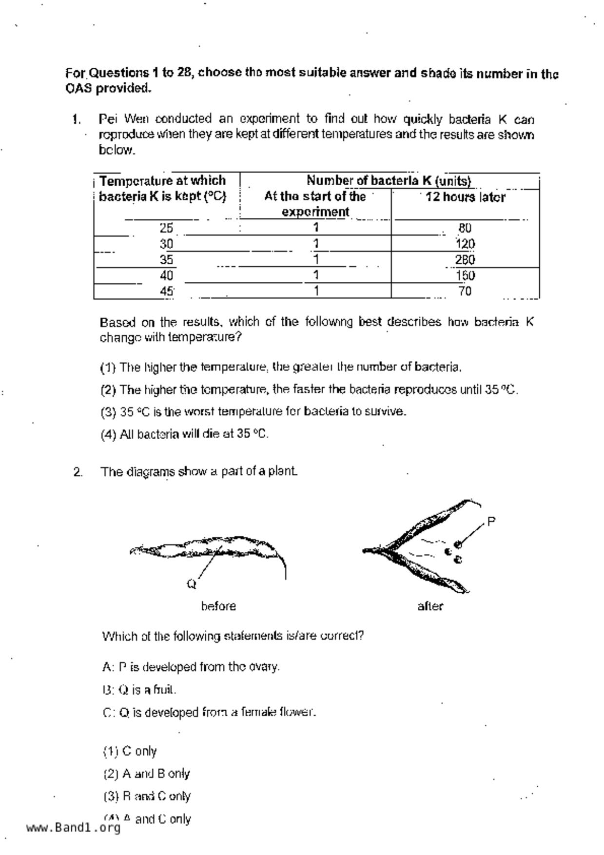 P6Science試卷