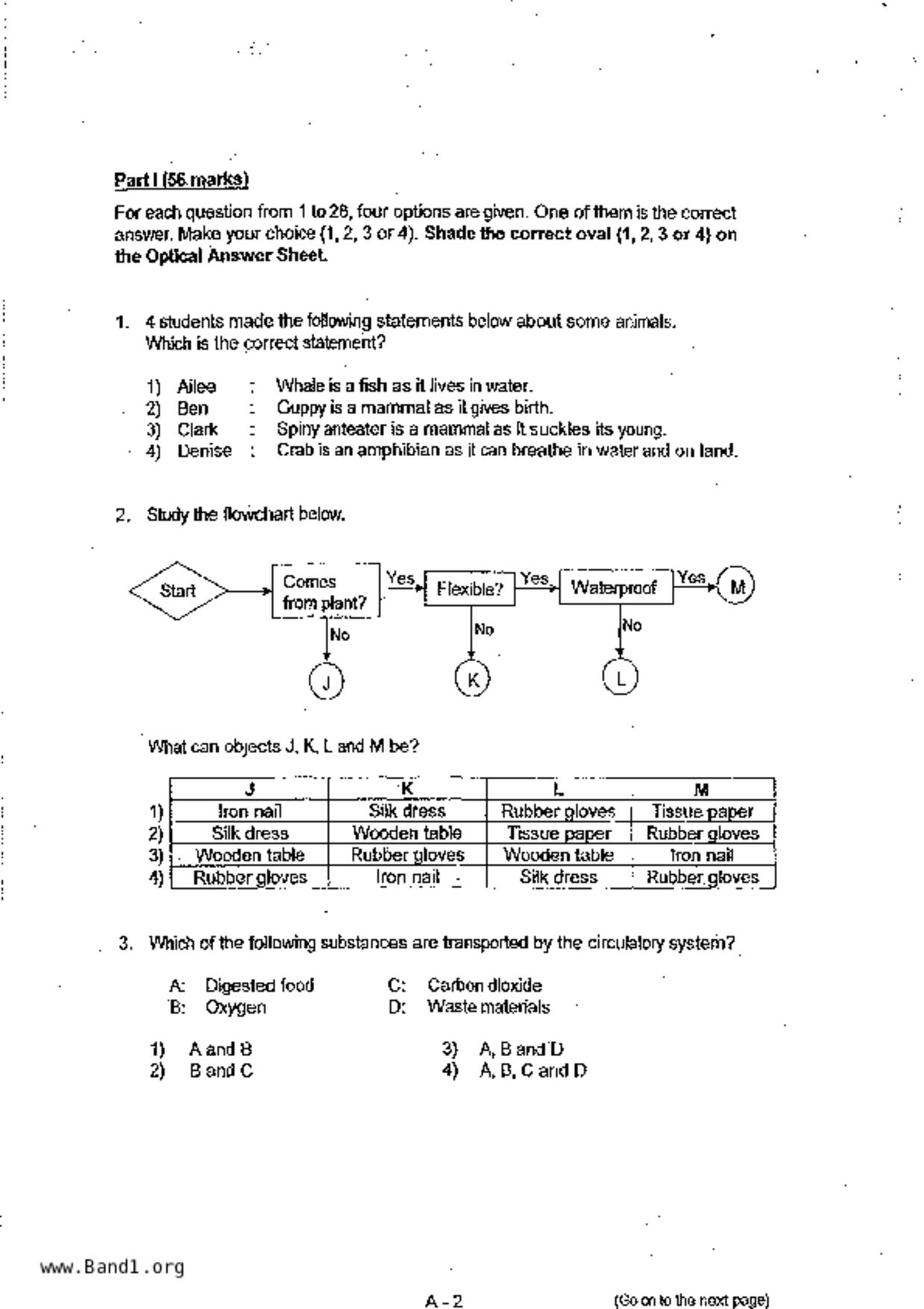 P6Science試卷