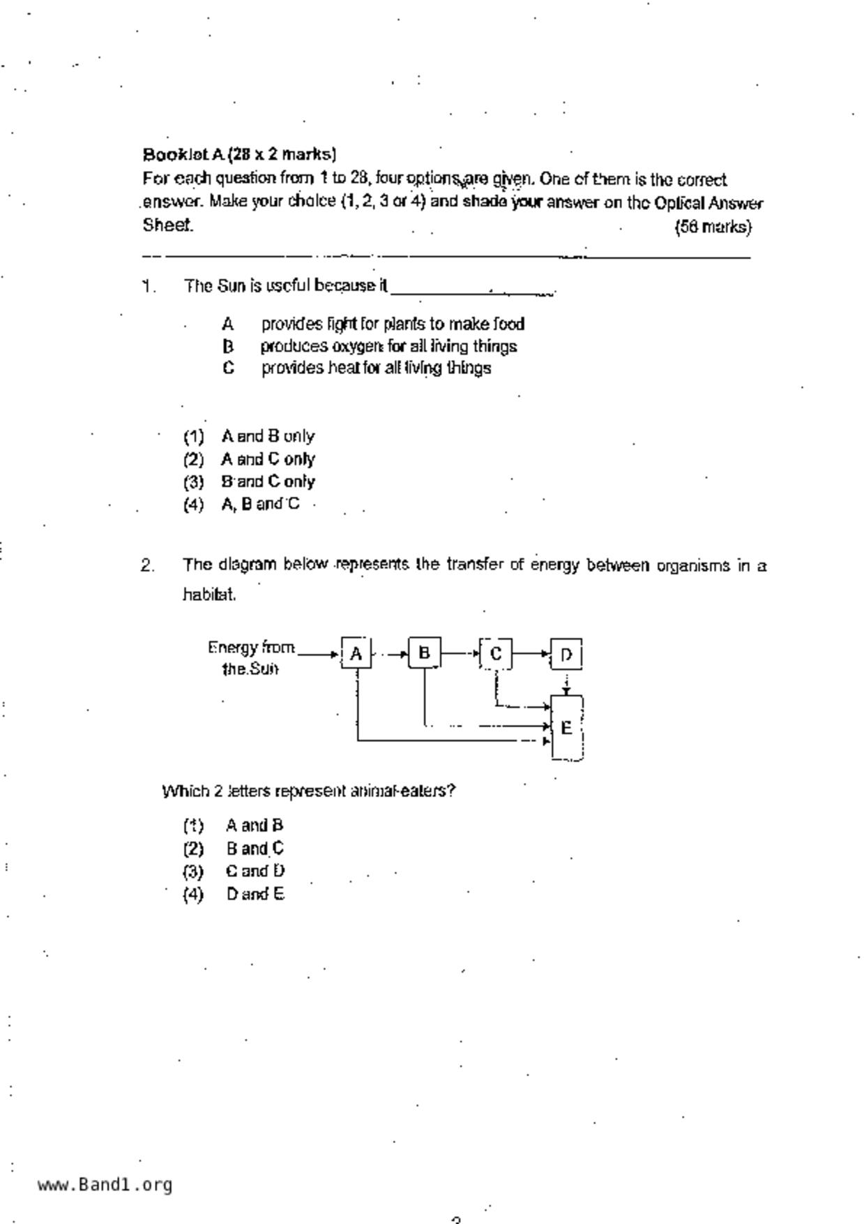 P6Science試卷