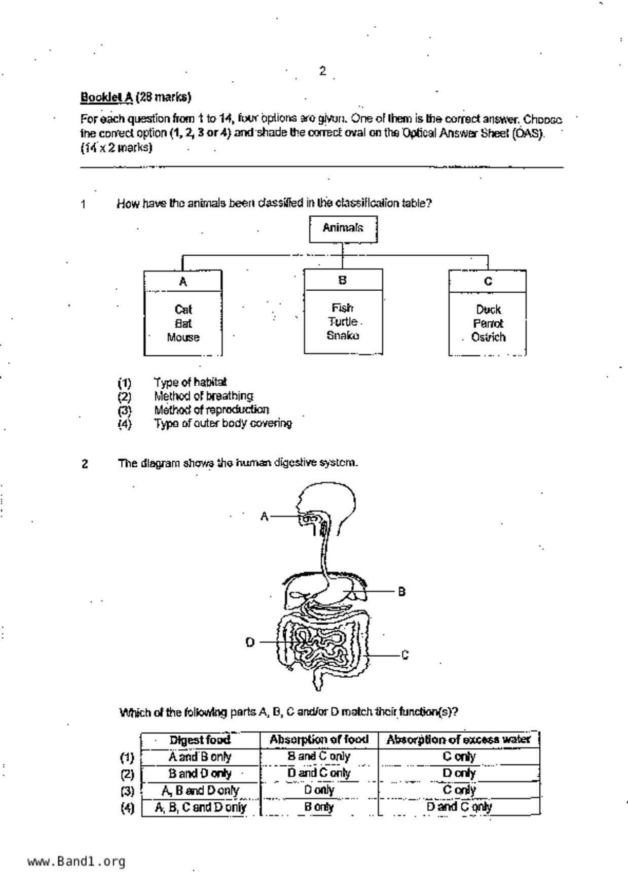 P6Science試卷
