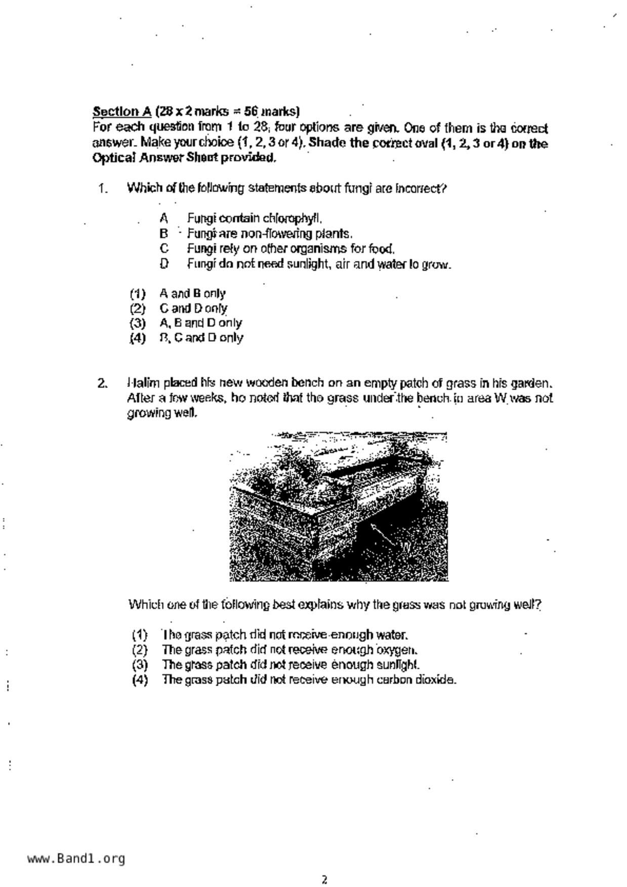 P6Science試卷