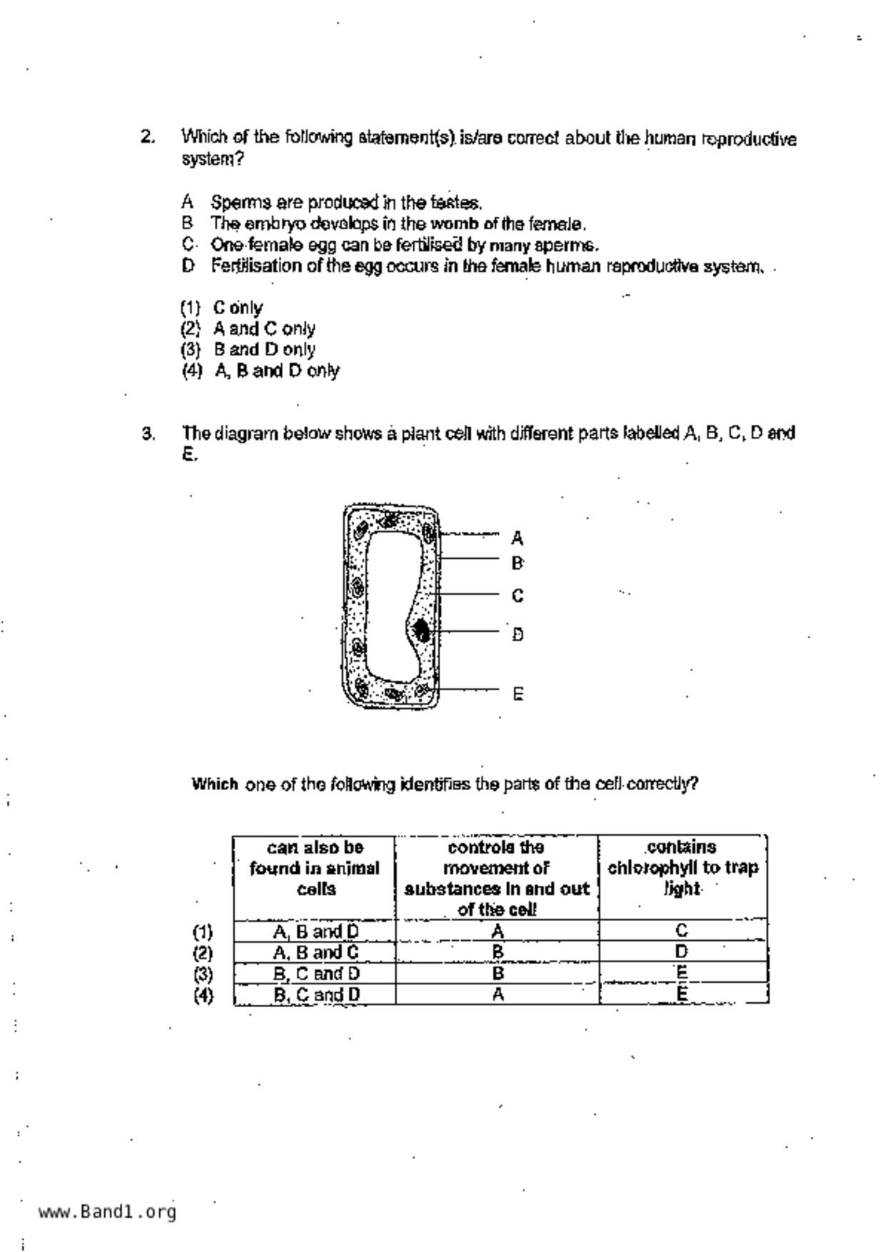 P6Science試卷