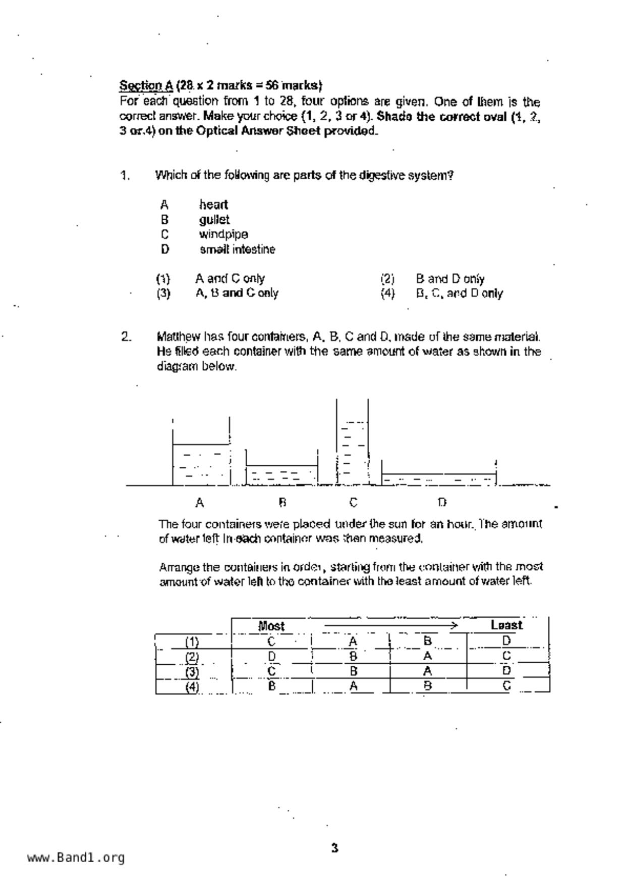 P6Science試卷