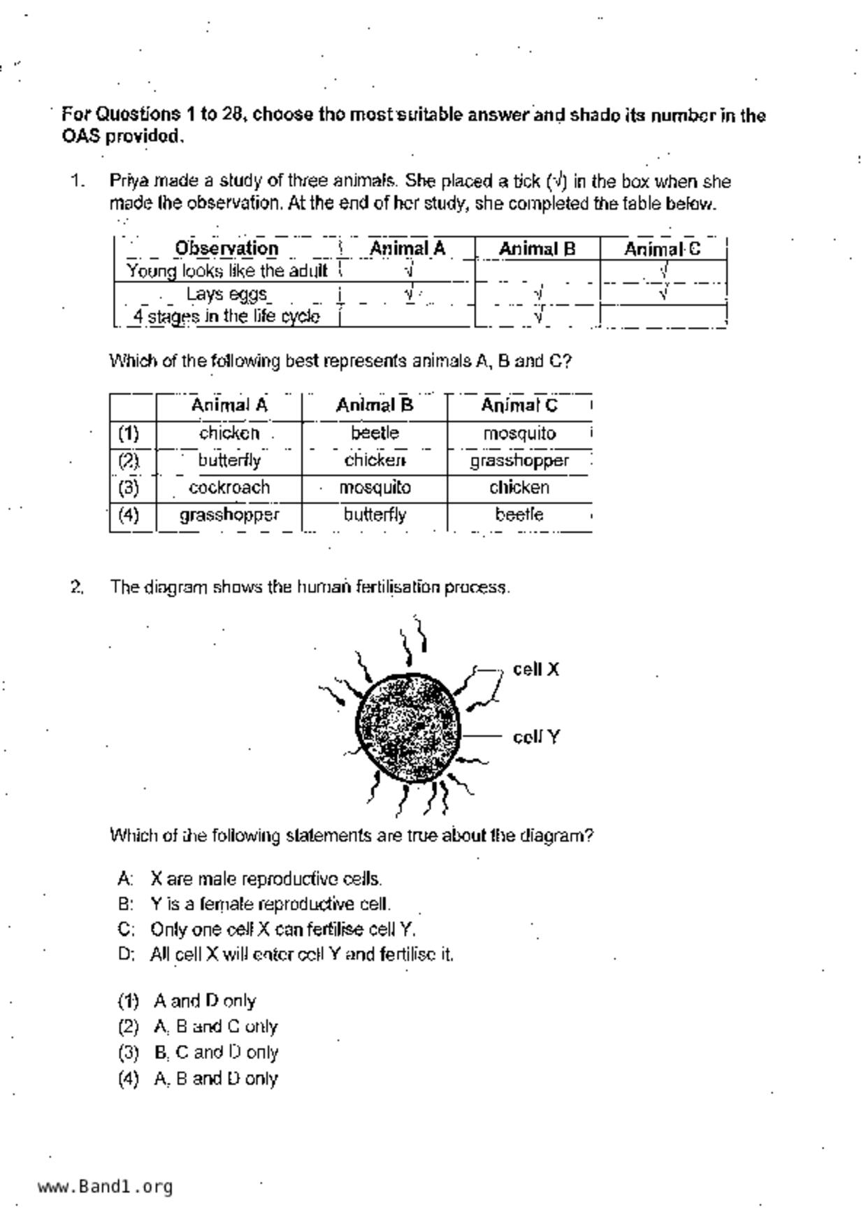 P6Science試卷