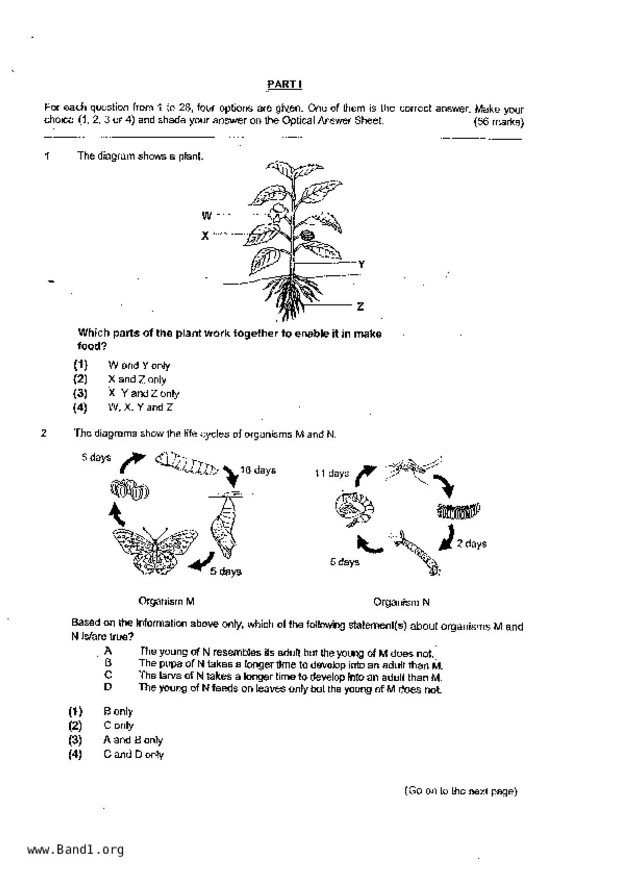 P6Science試卷