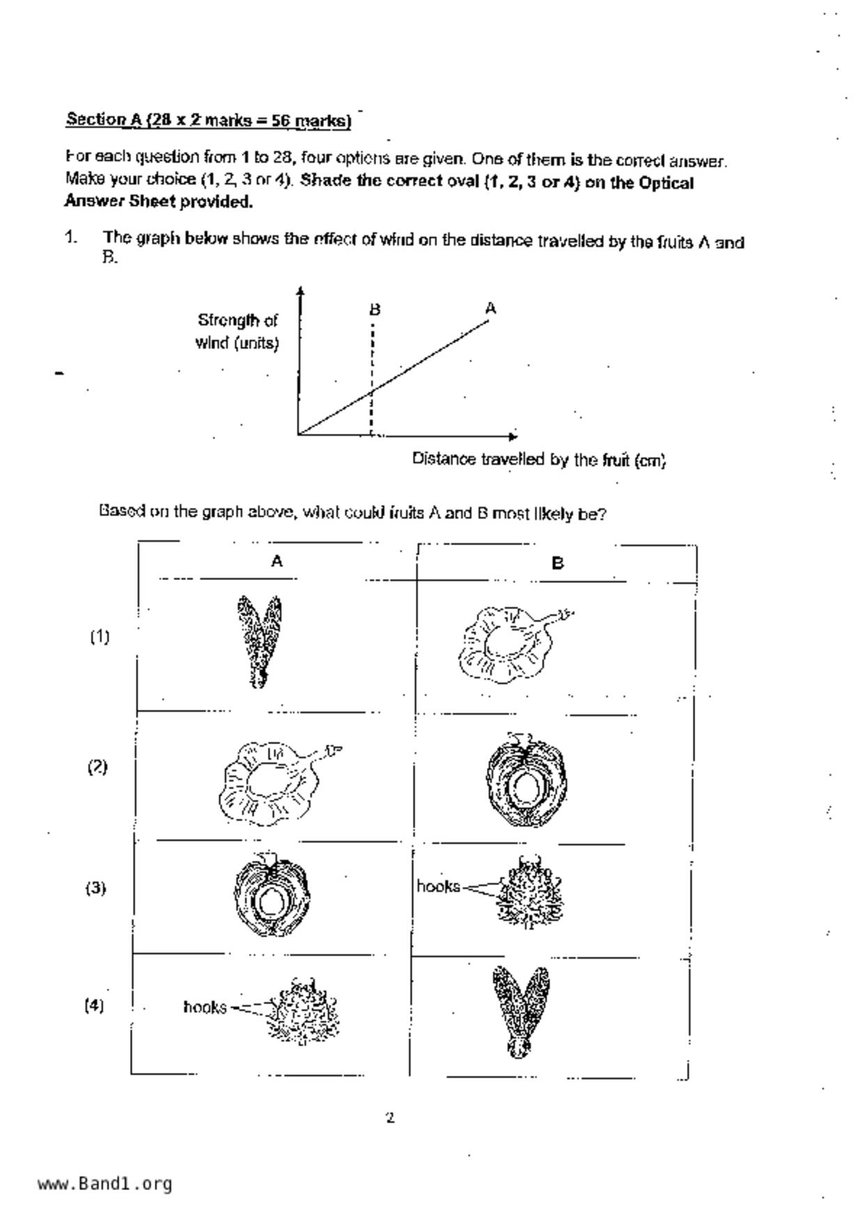 P6Science試卷