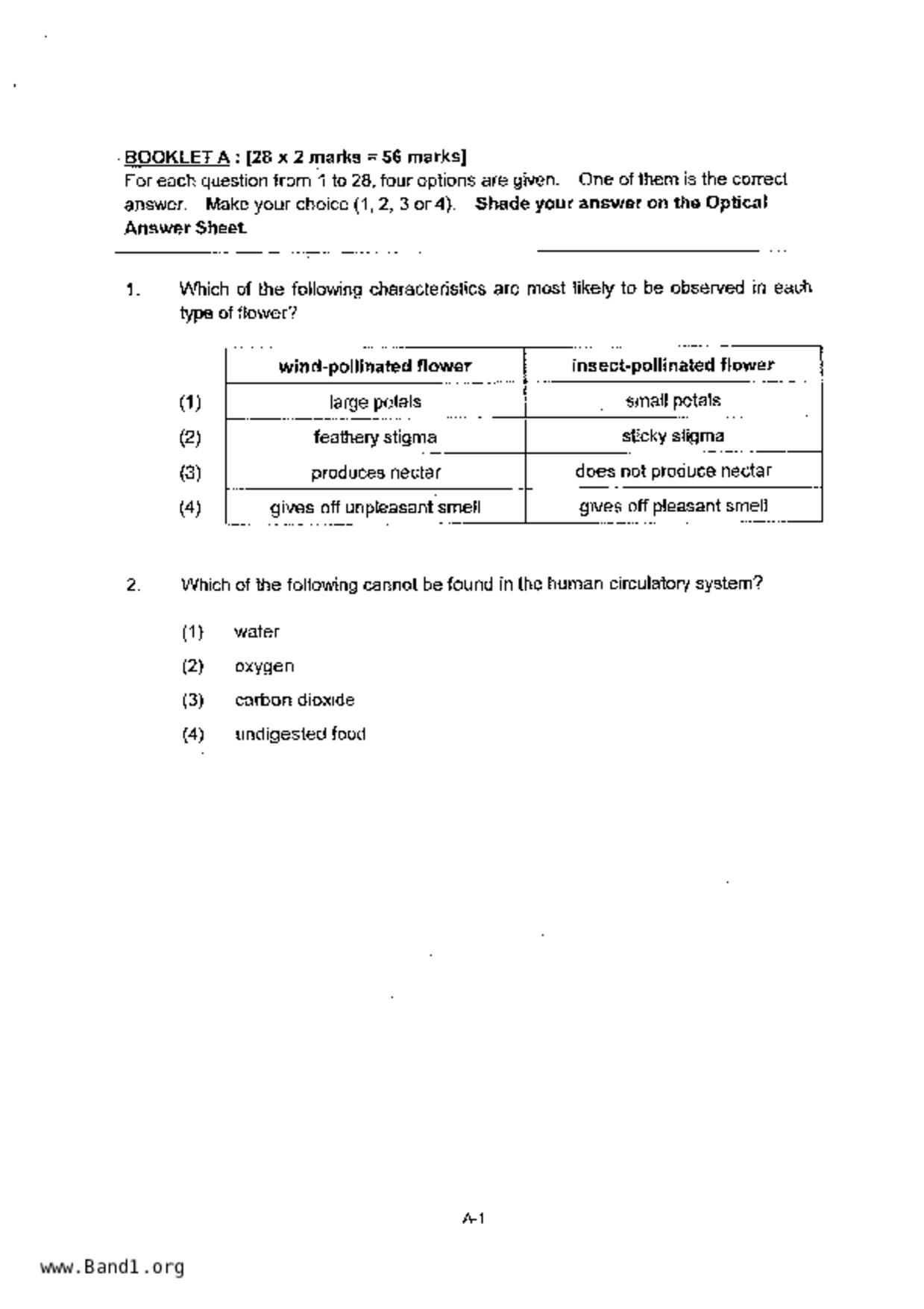 P6Science試卷