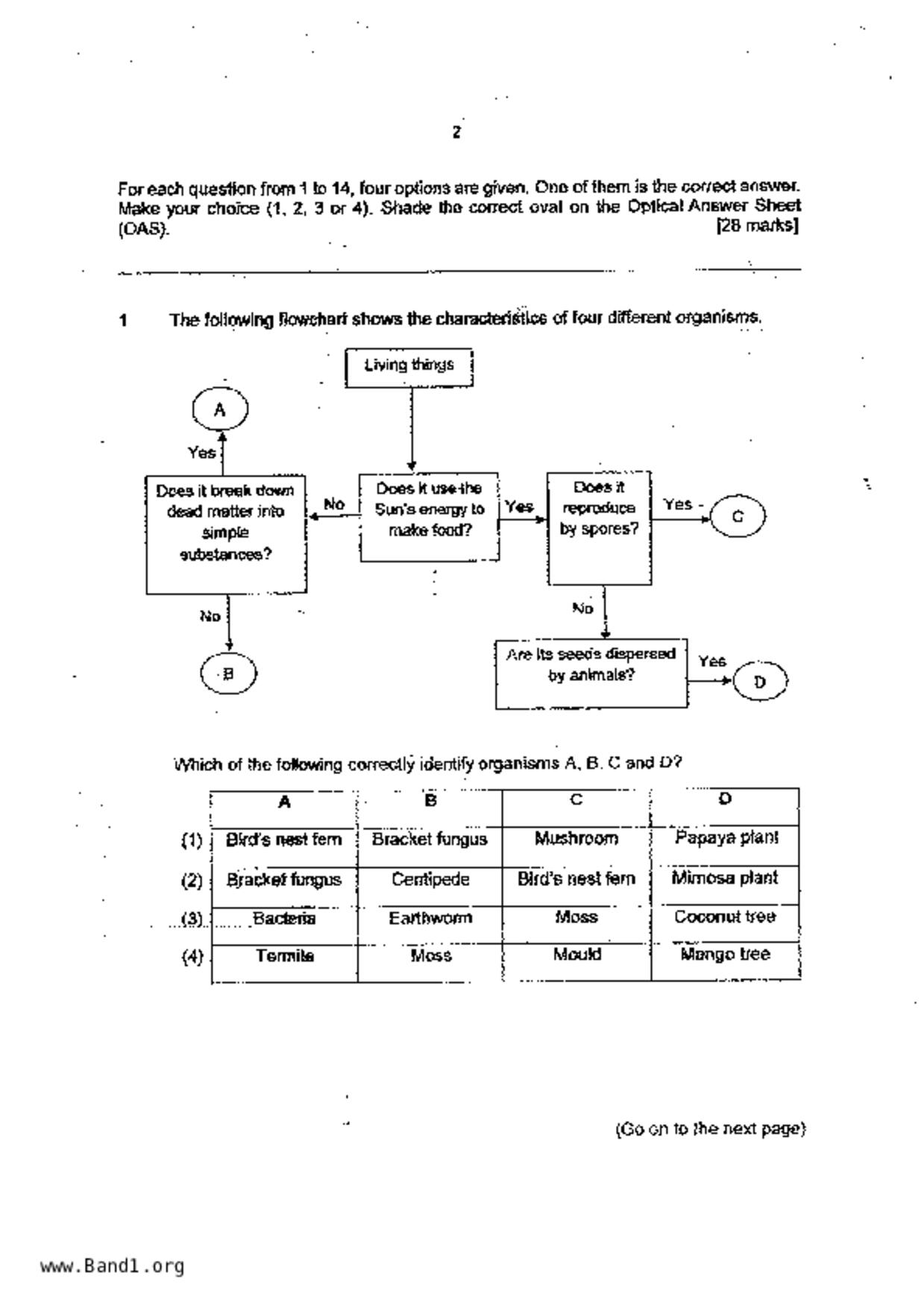 P6Science試卷