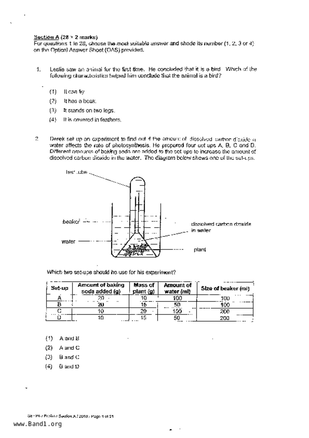 P6Science試卷