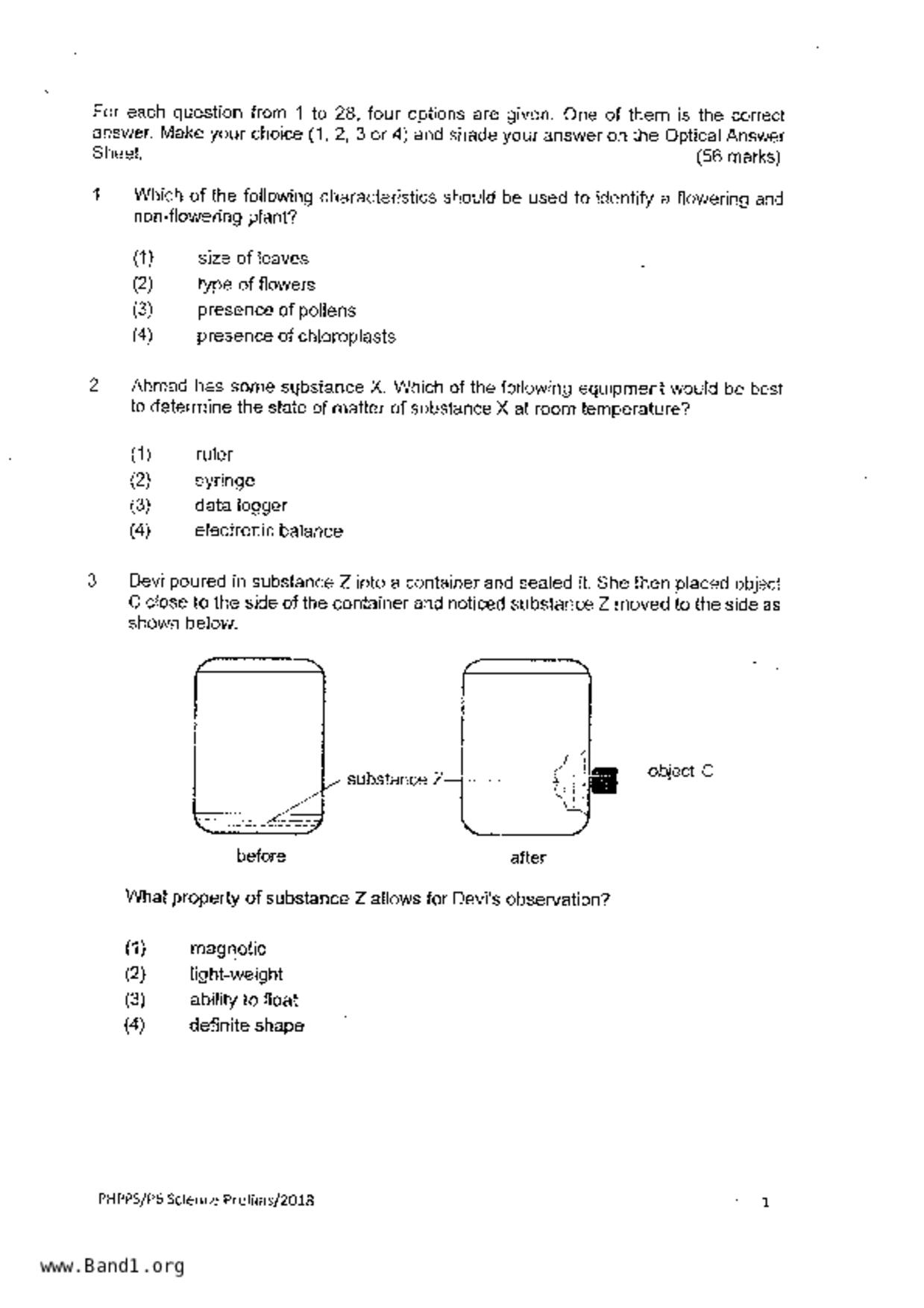 P6Science試卷