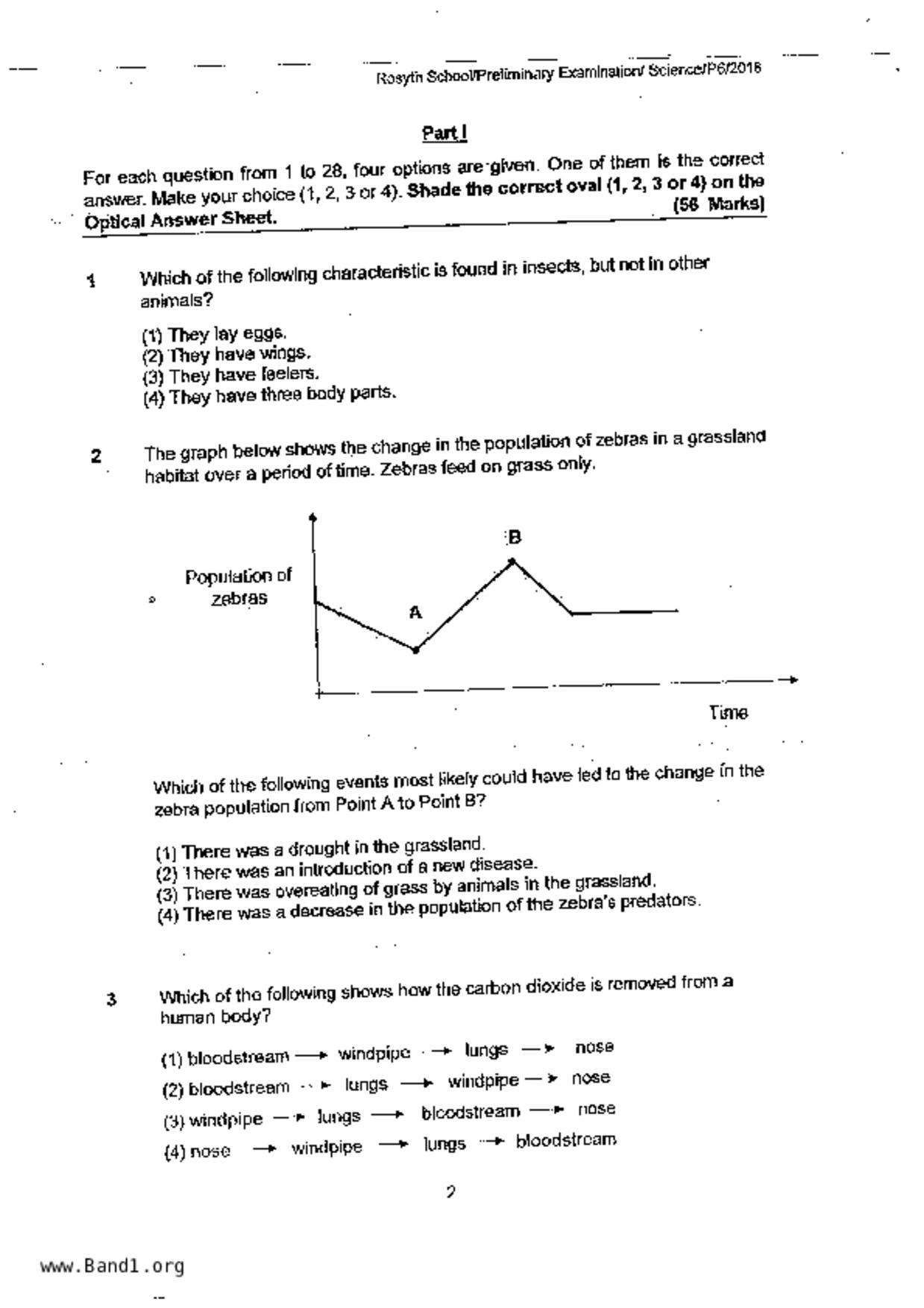 P6Science試卷