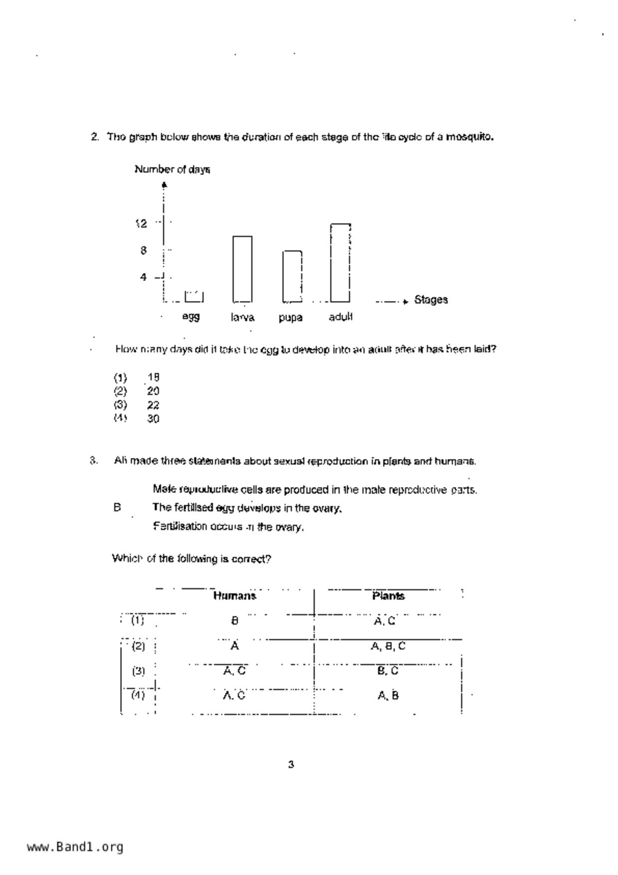 P6Science試卷