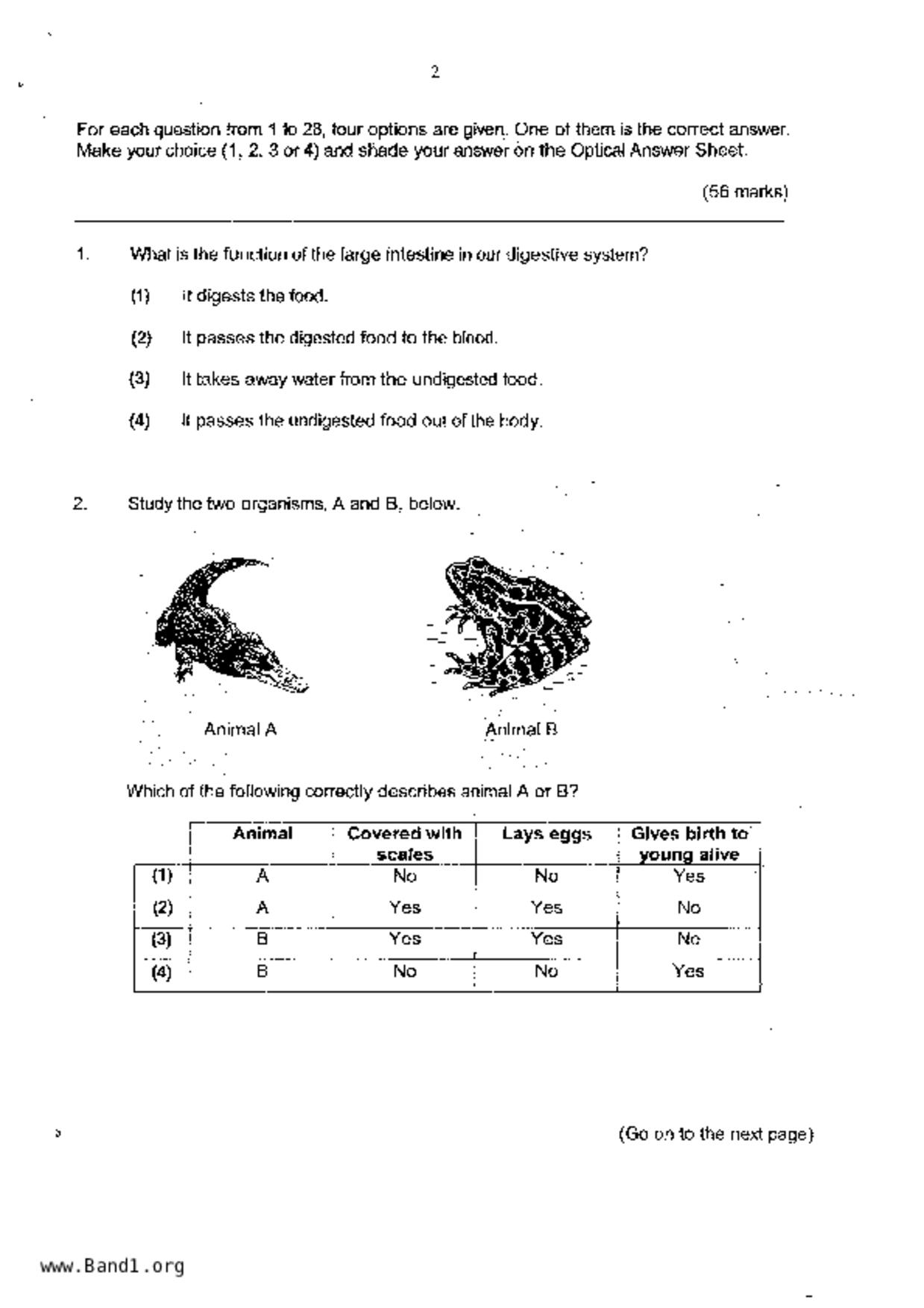 P6Science試卷