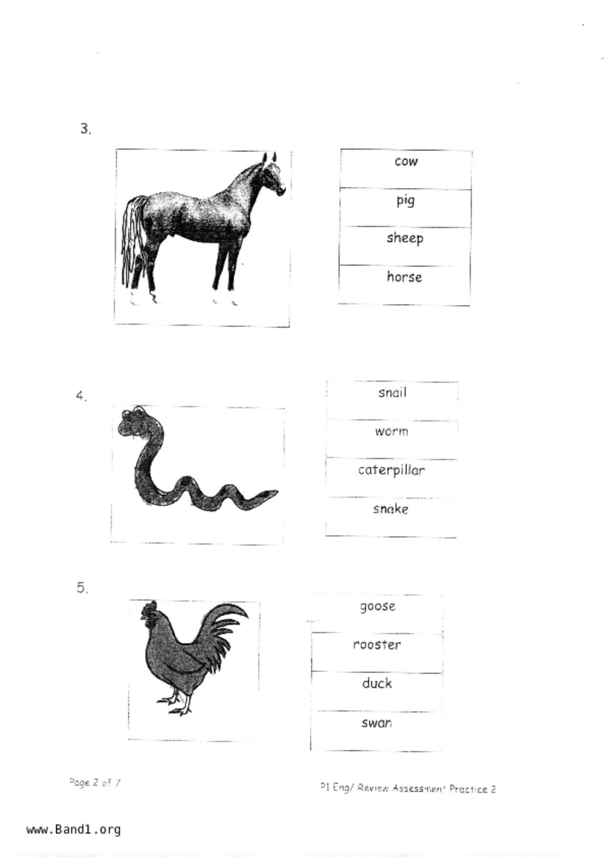 P1English試卷