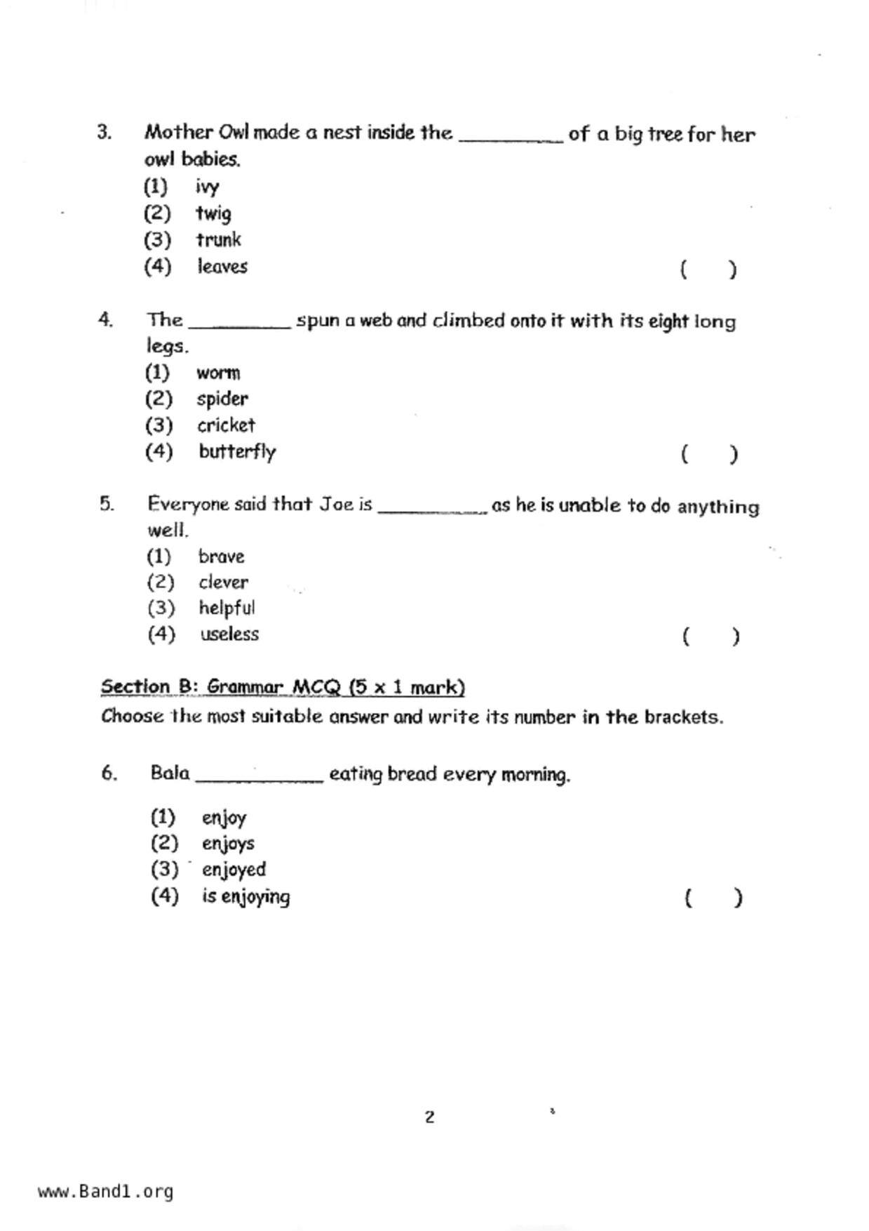 P2English試卷