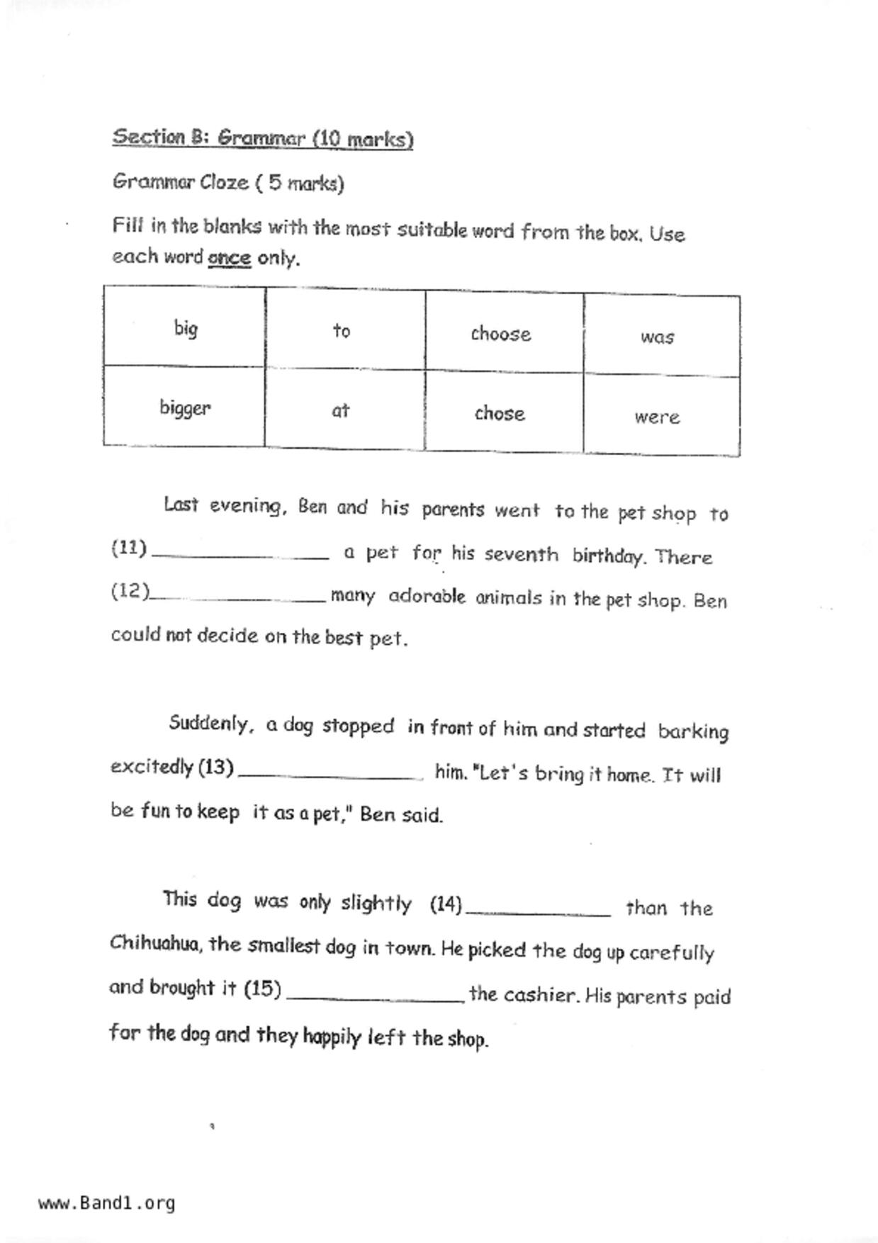 P2English試卷