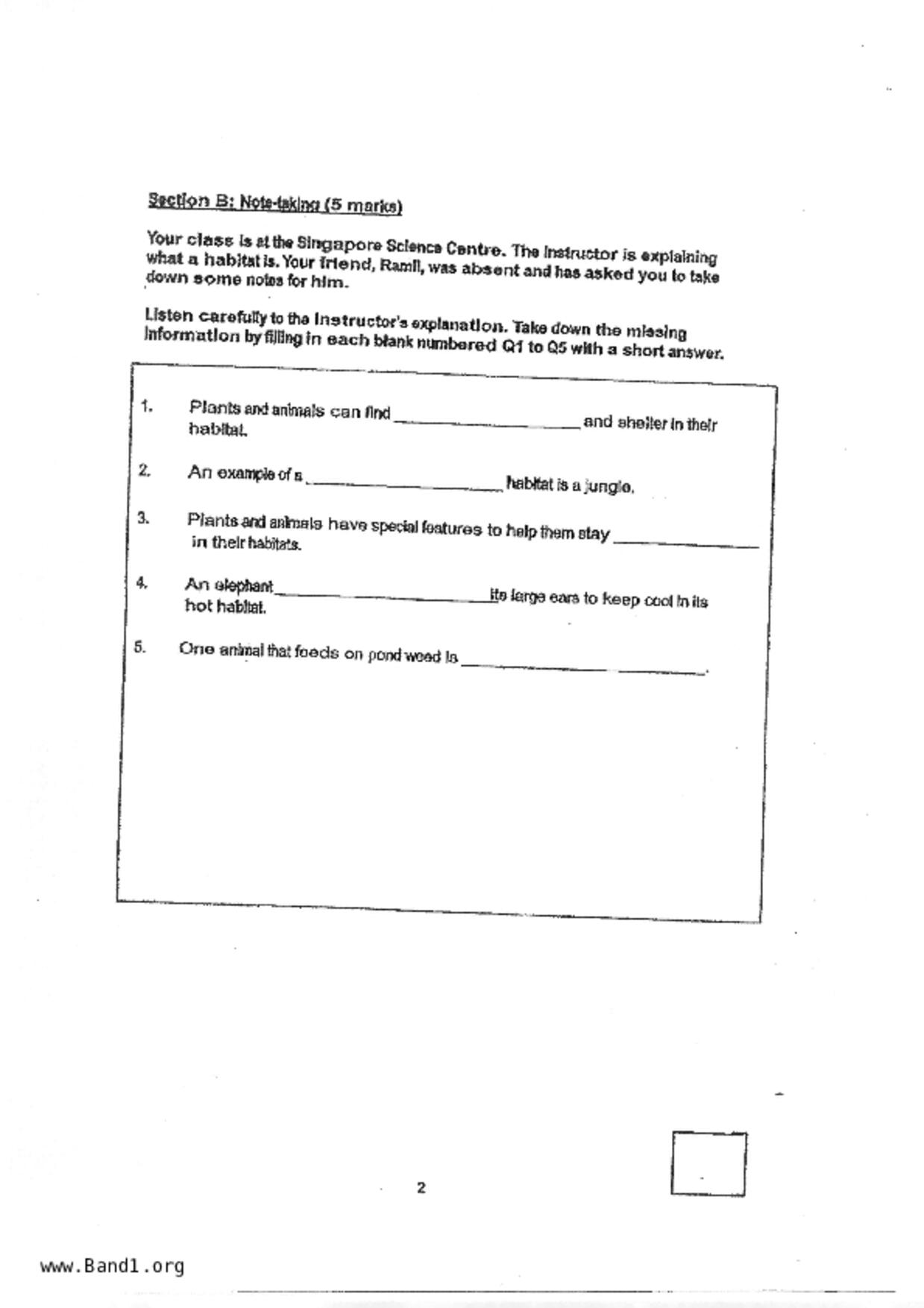 P3English試卷