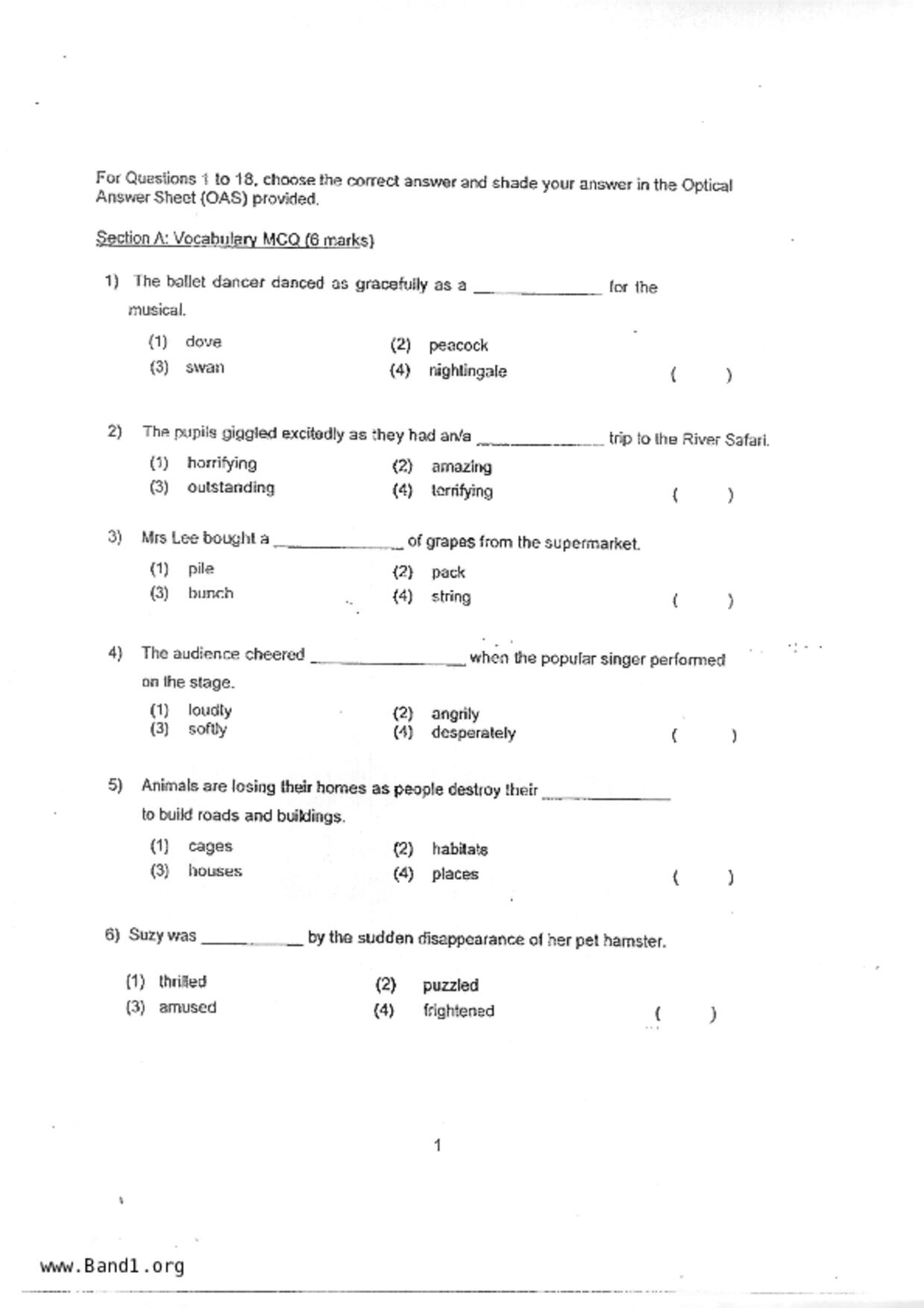 P3English試卷