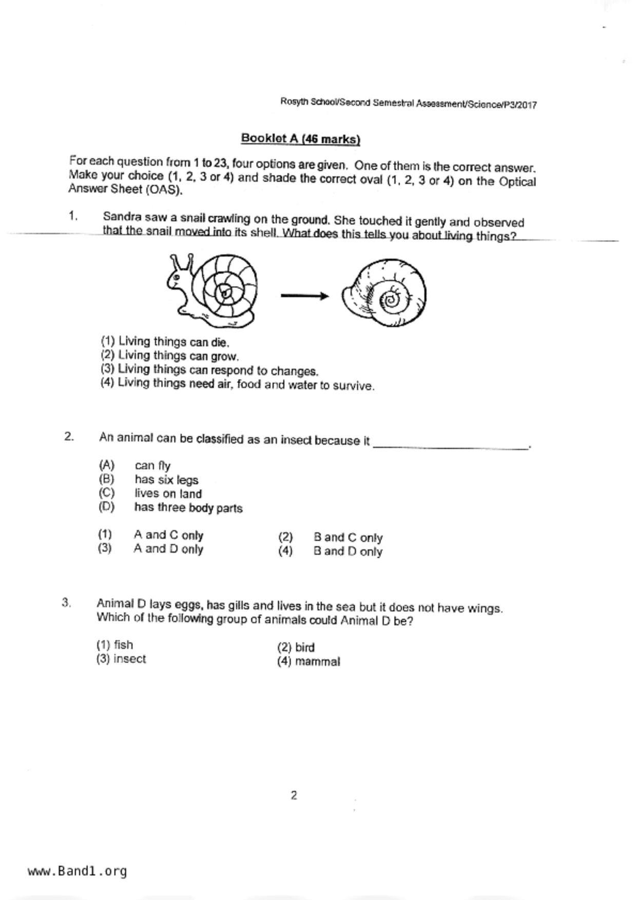 P3Science試卷