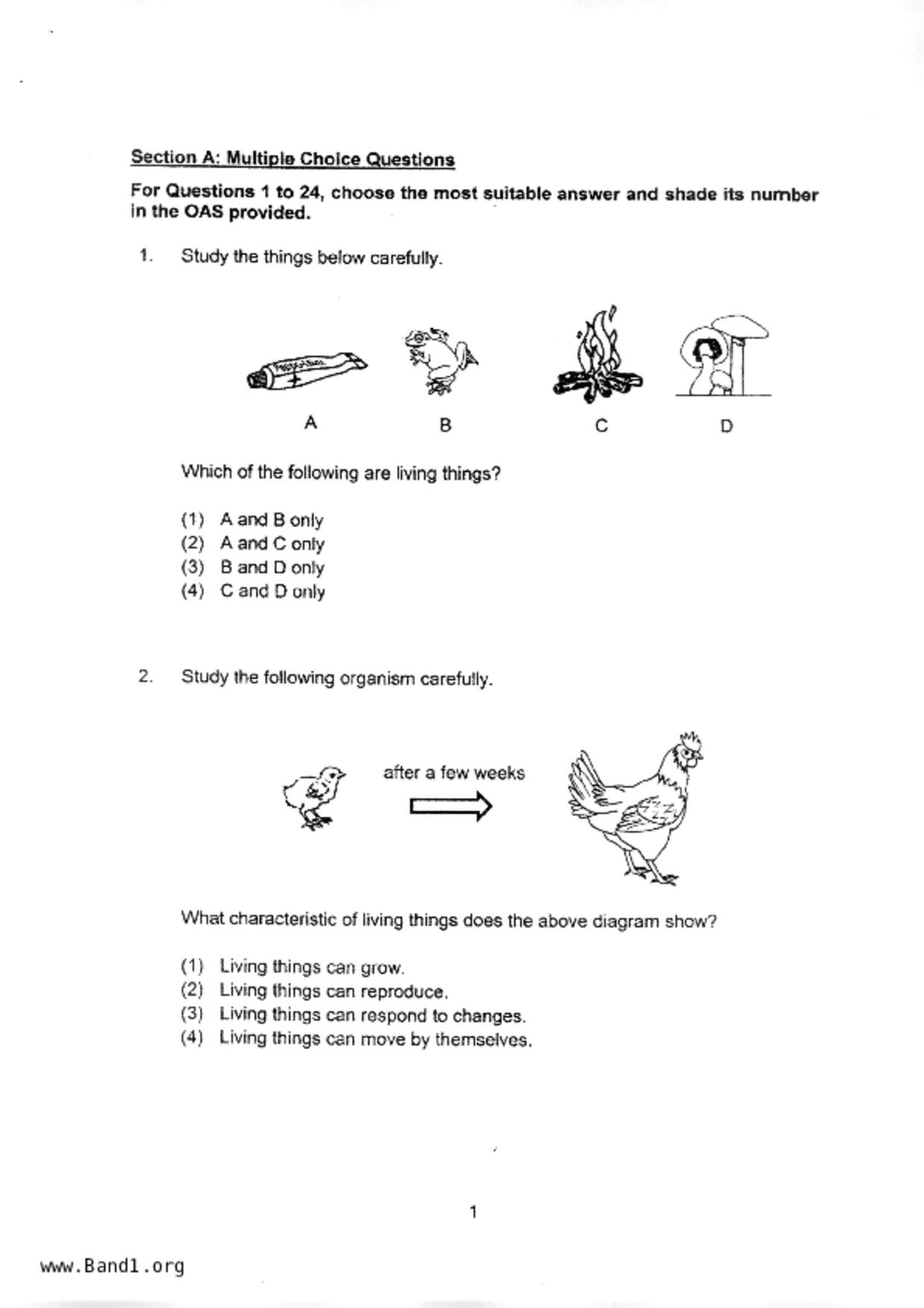 P3Science試卷