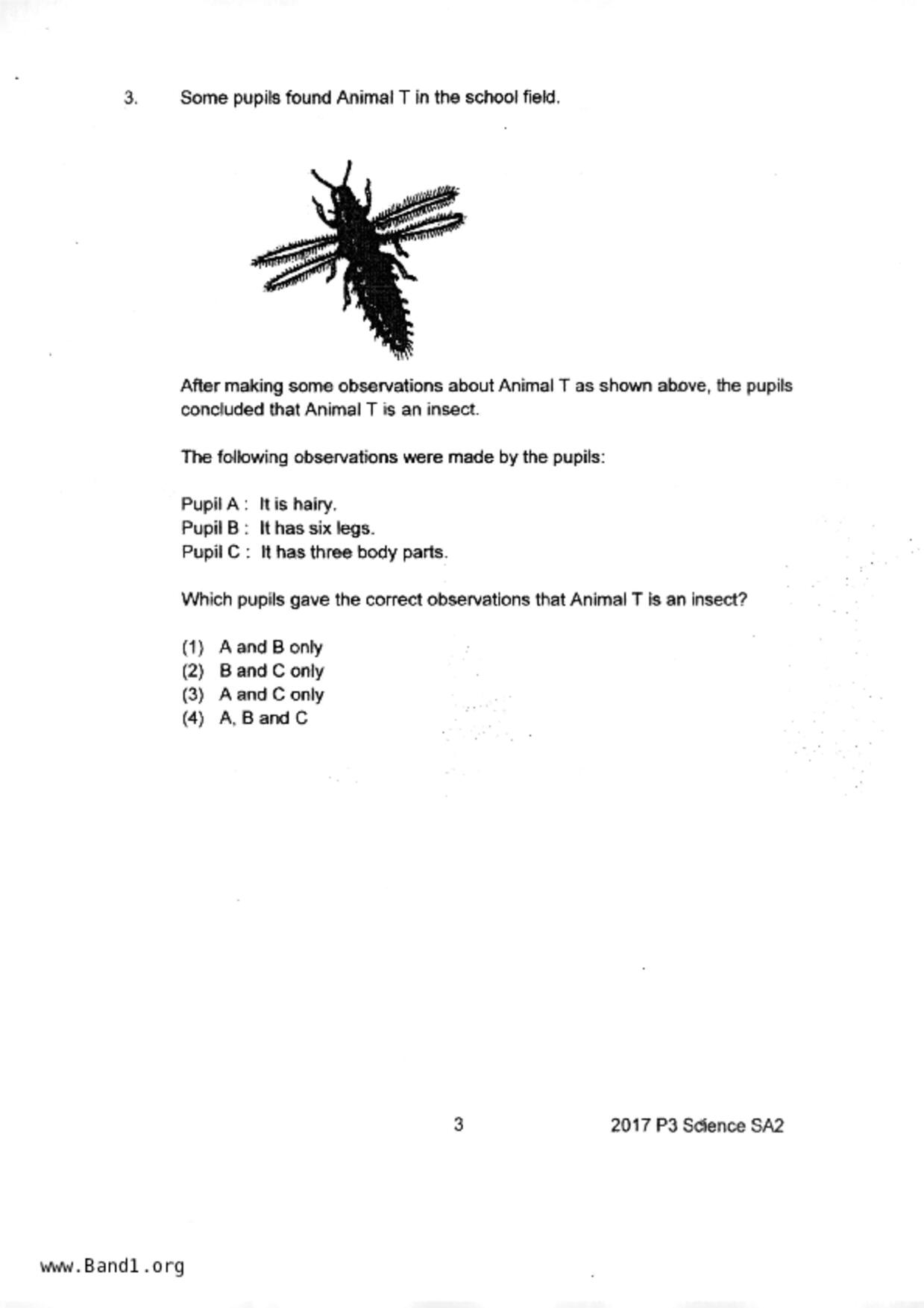 P3Science試卷
