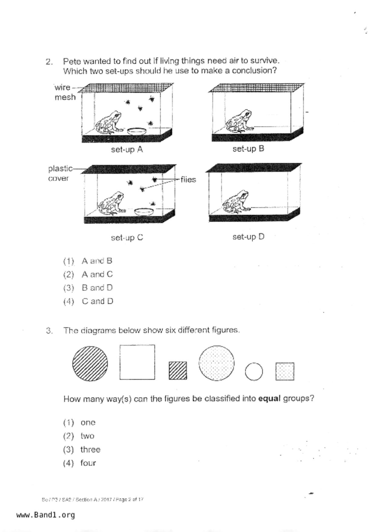 P3Science試卷