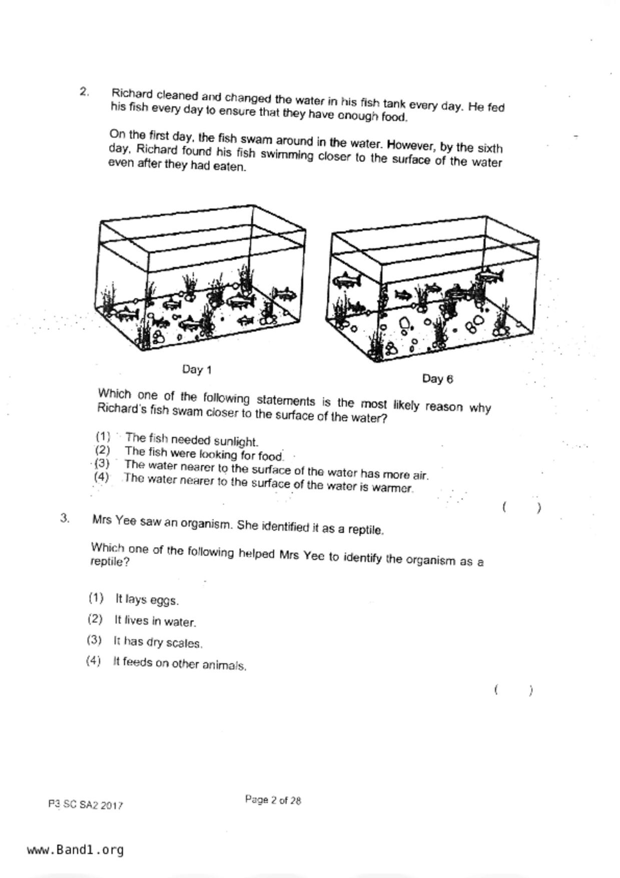 P3Science試卷