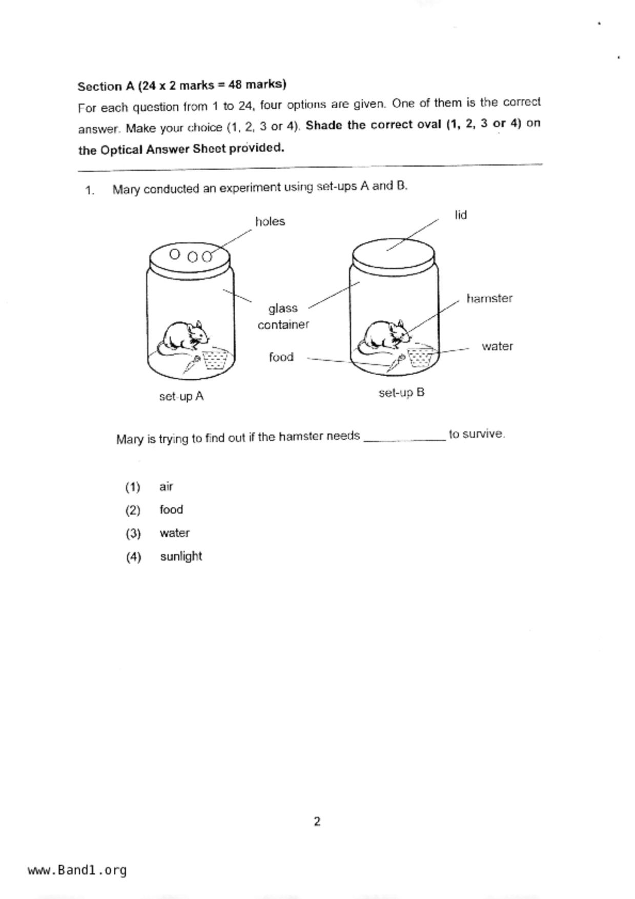 P3Science試卷