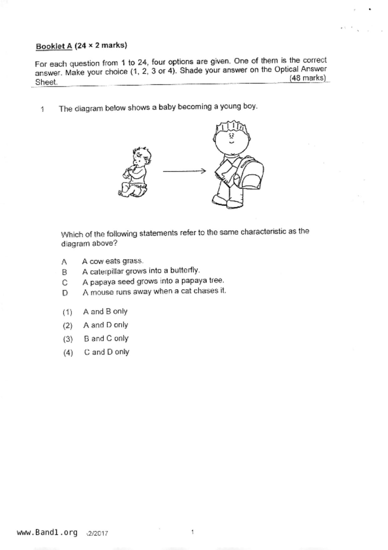 P3Science試卷