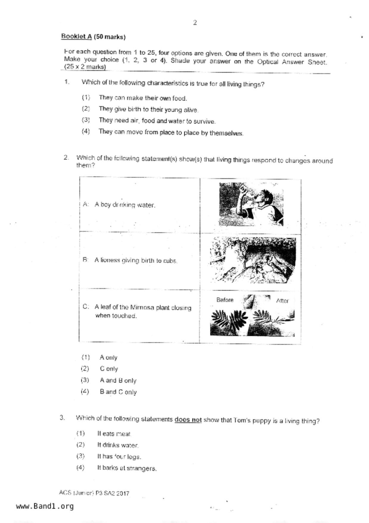 P3Science試卷