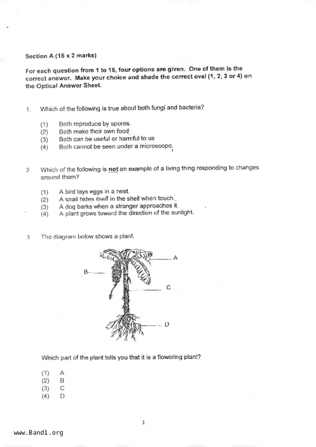 P3Science試卷