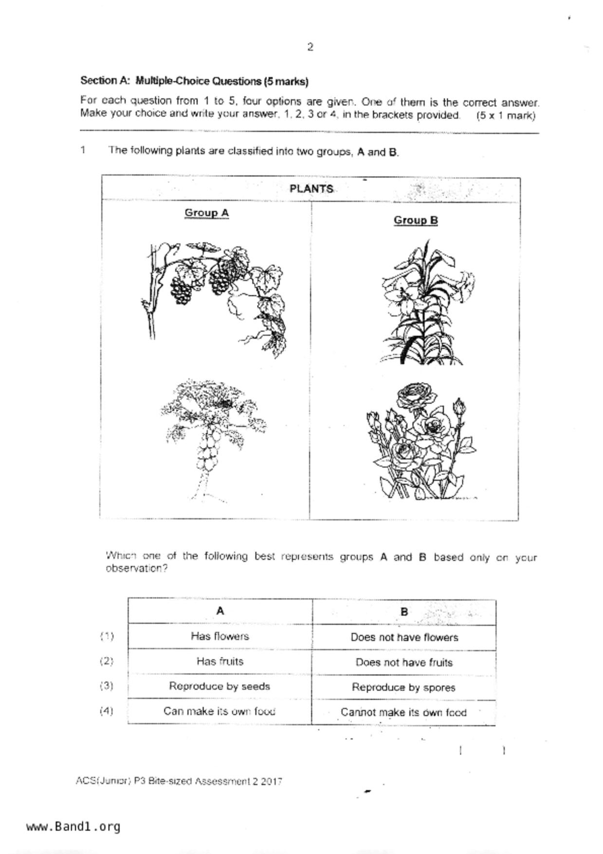 P3Science試卷