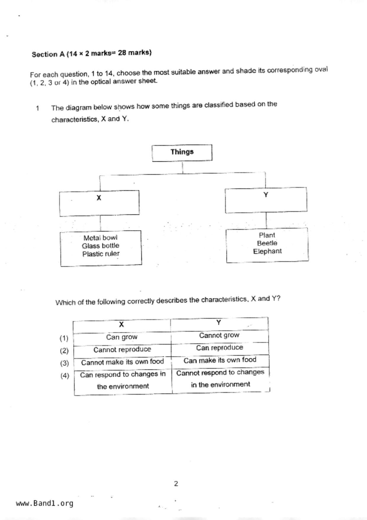 P3Science試卷