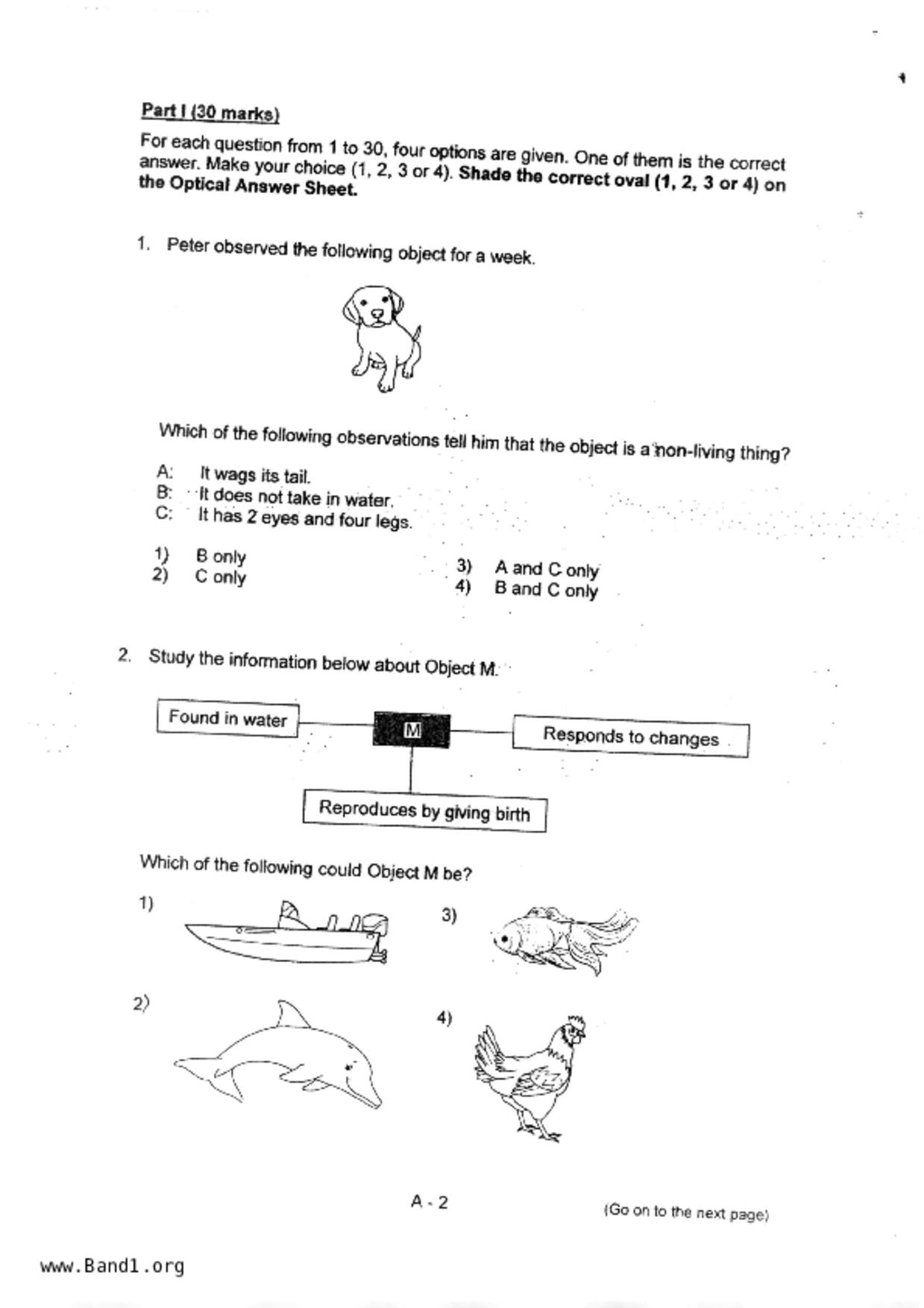 P3Science試卷