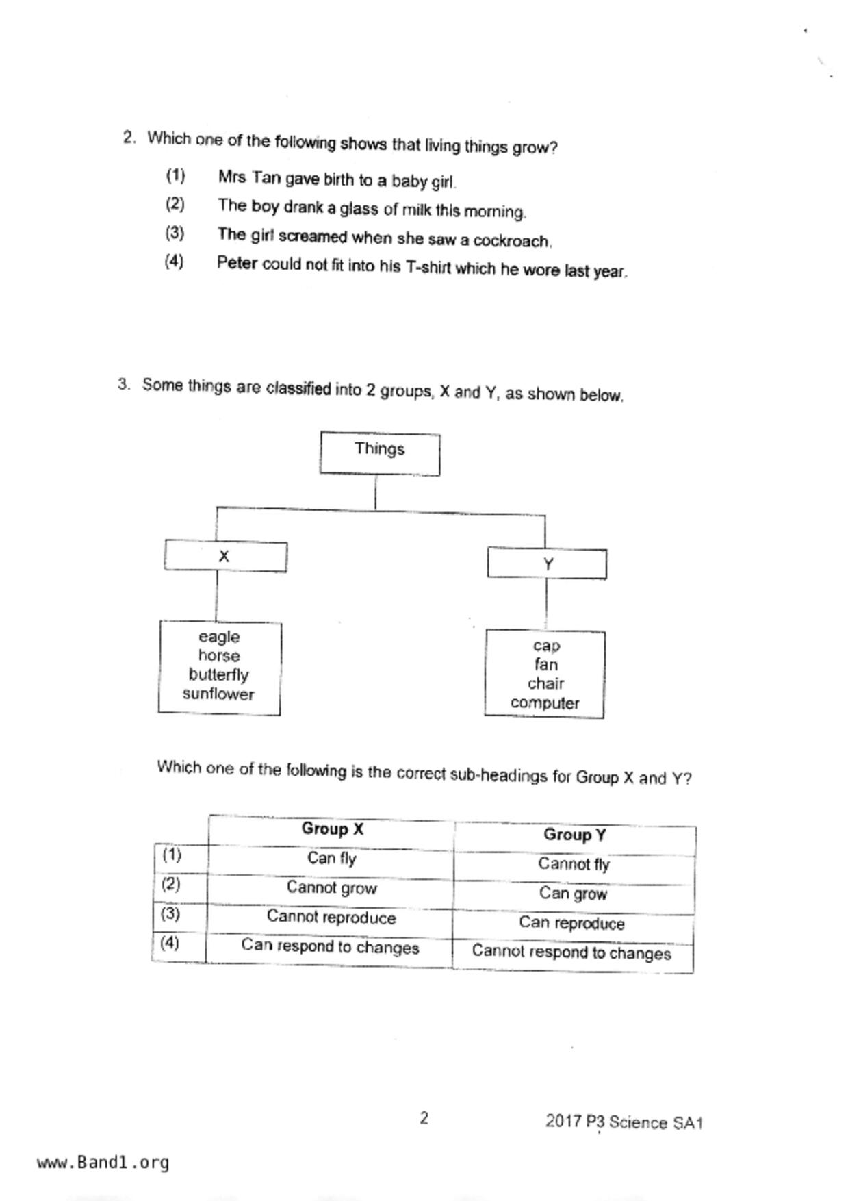 P3Science試卷