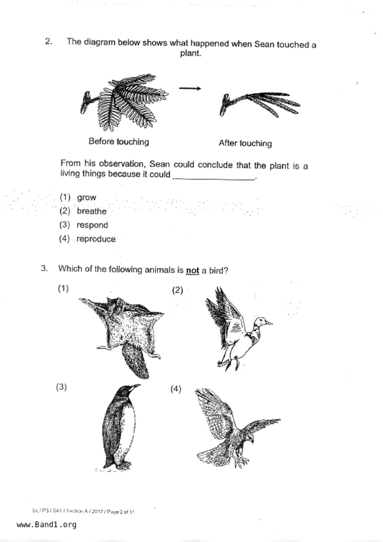 P3Science試卷