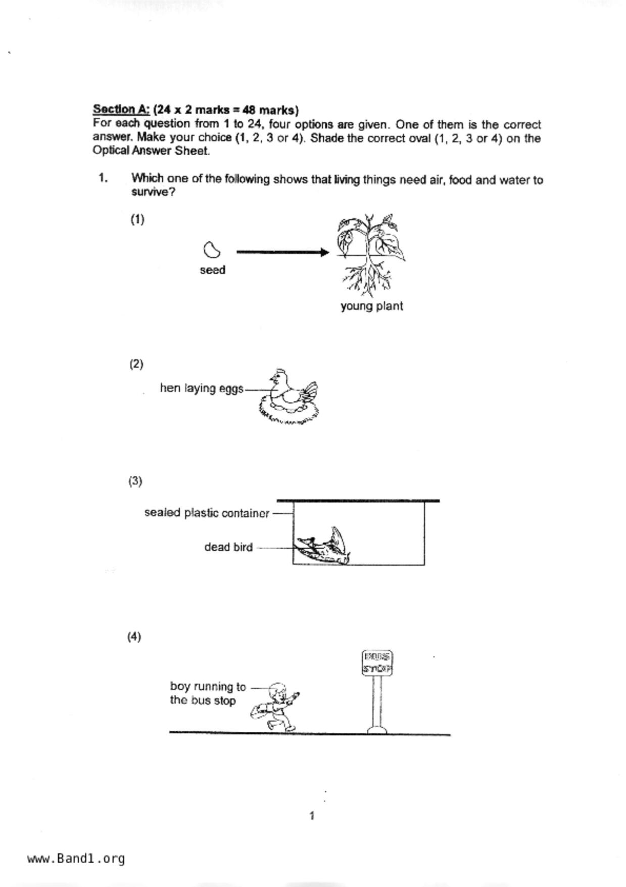 P3Science試卷