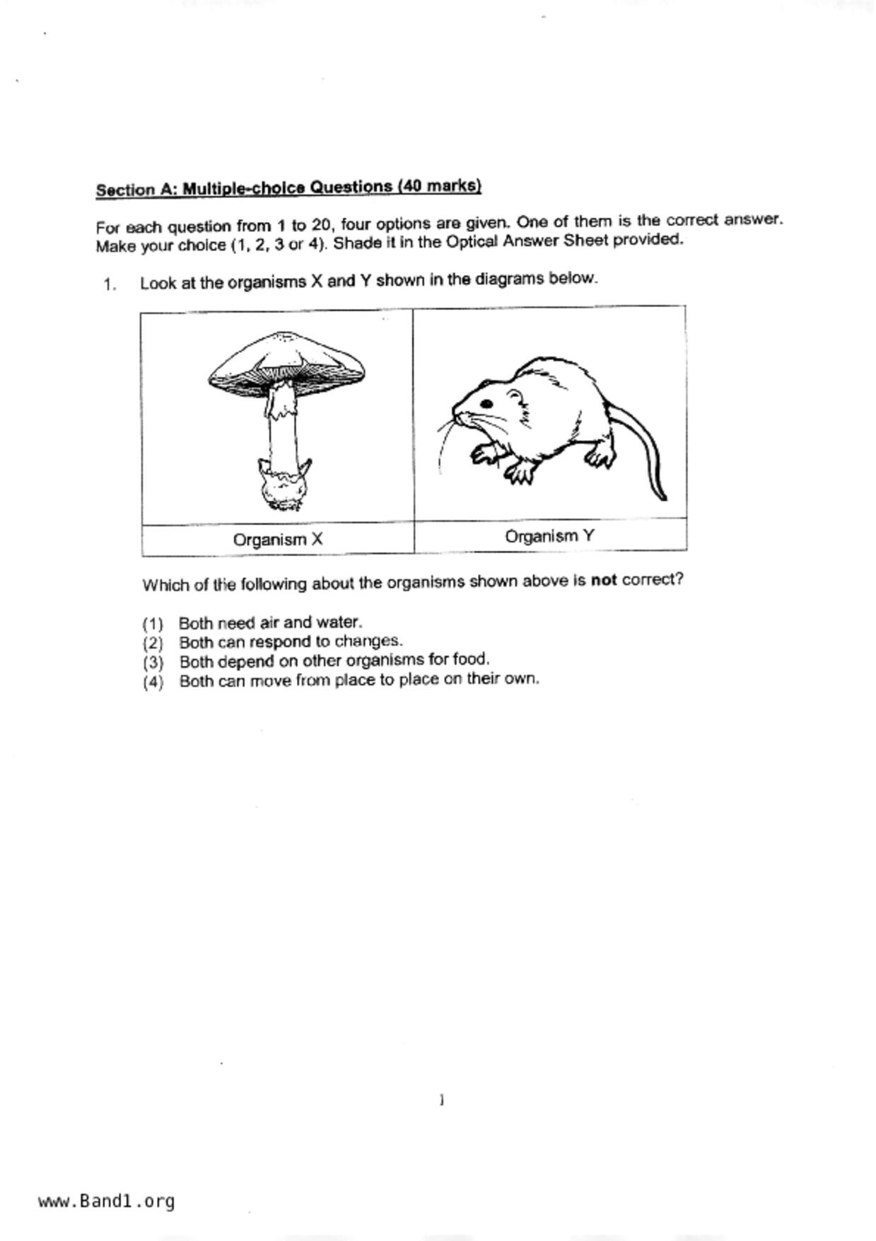 P3Science試卷