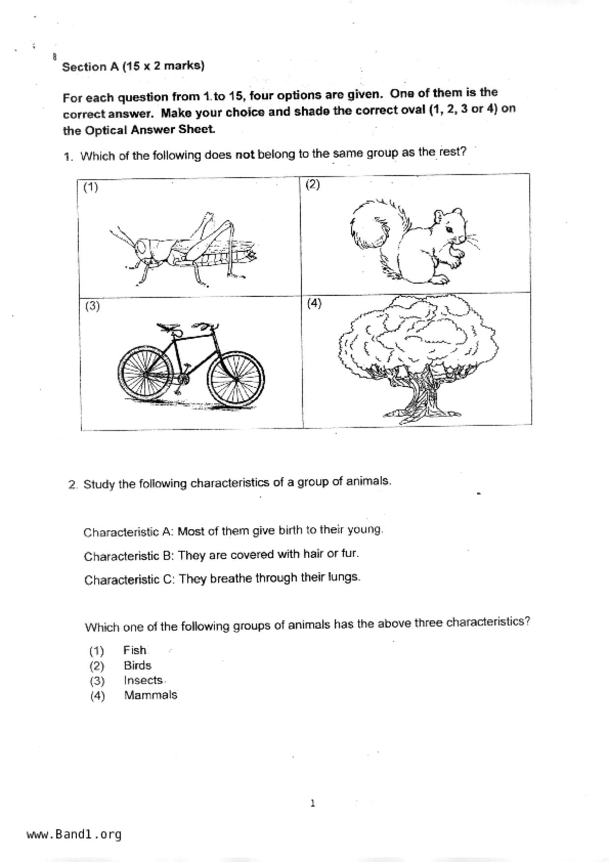 P3Science試卷
