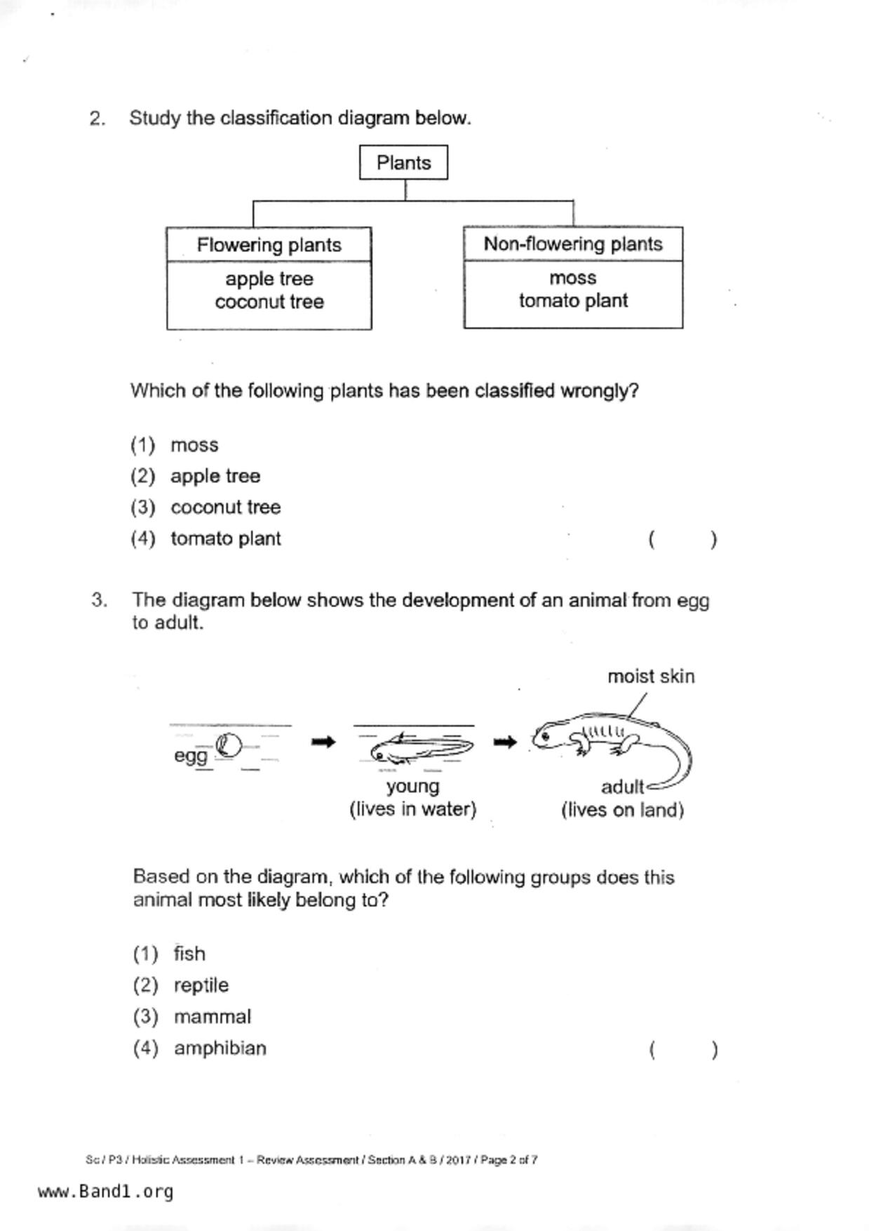 P3Science試卷