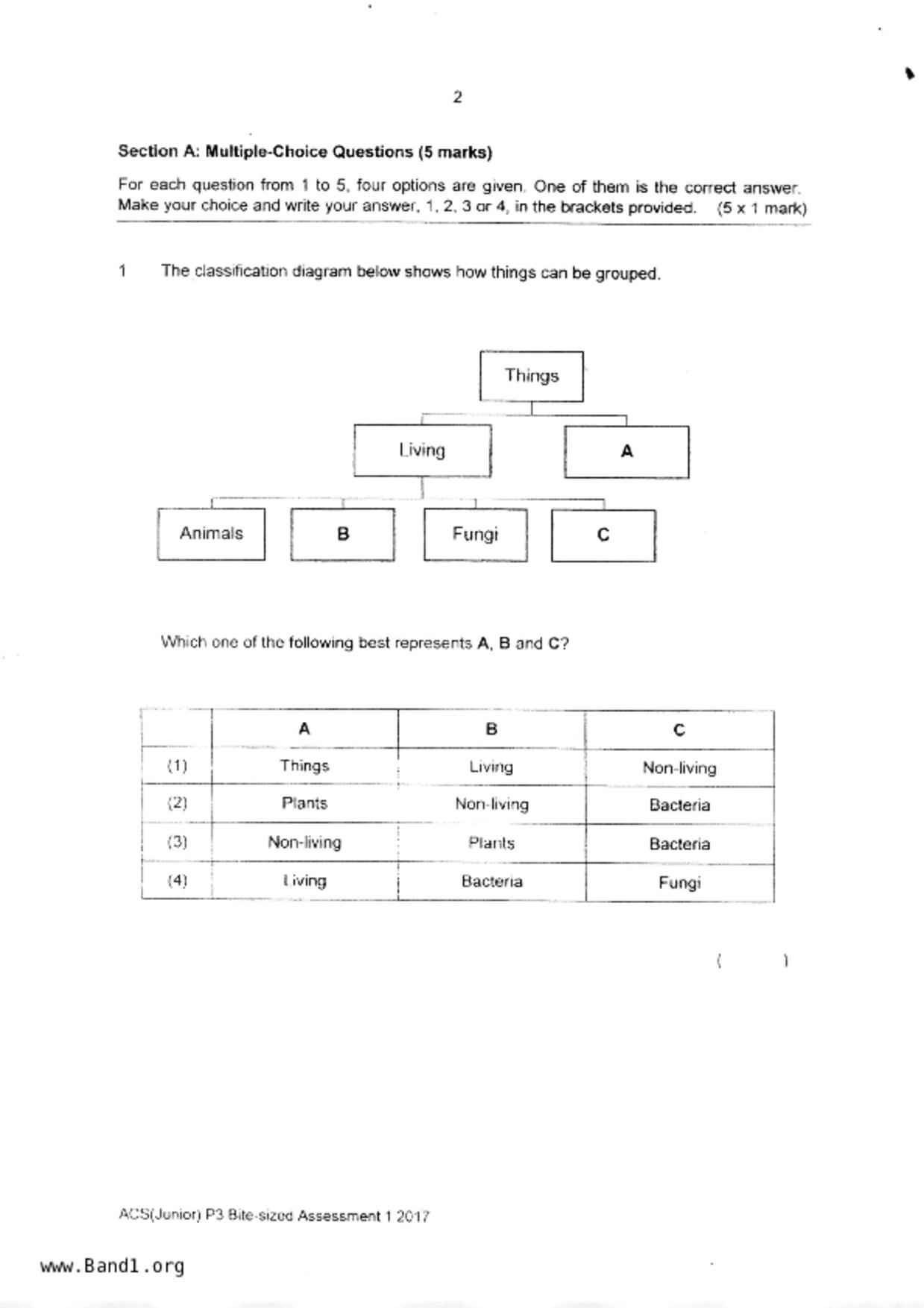 P3Science試卷
