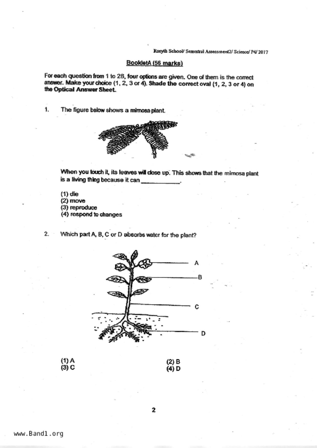 P4Science試卷