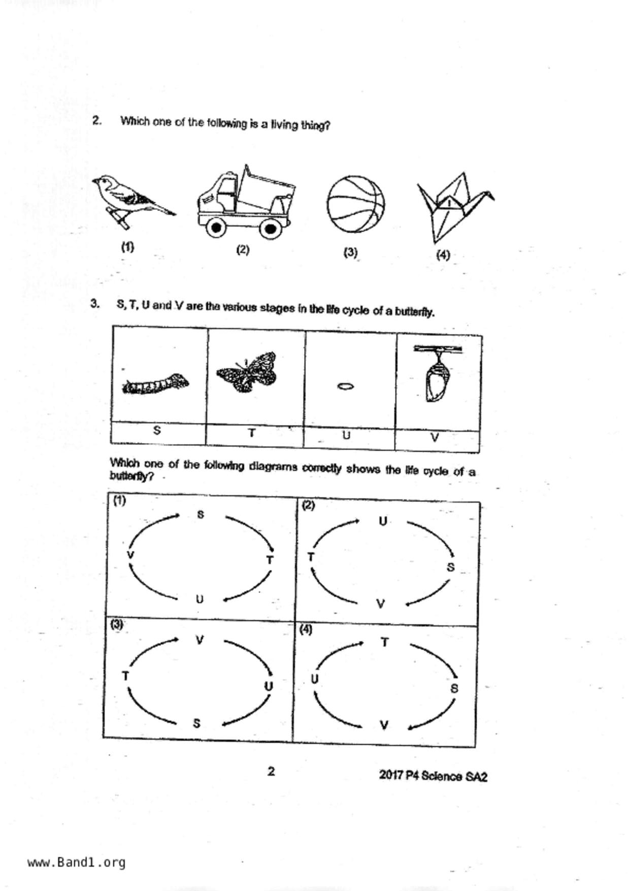 P4Science試卷