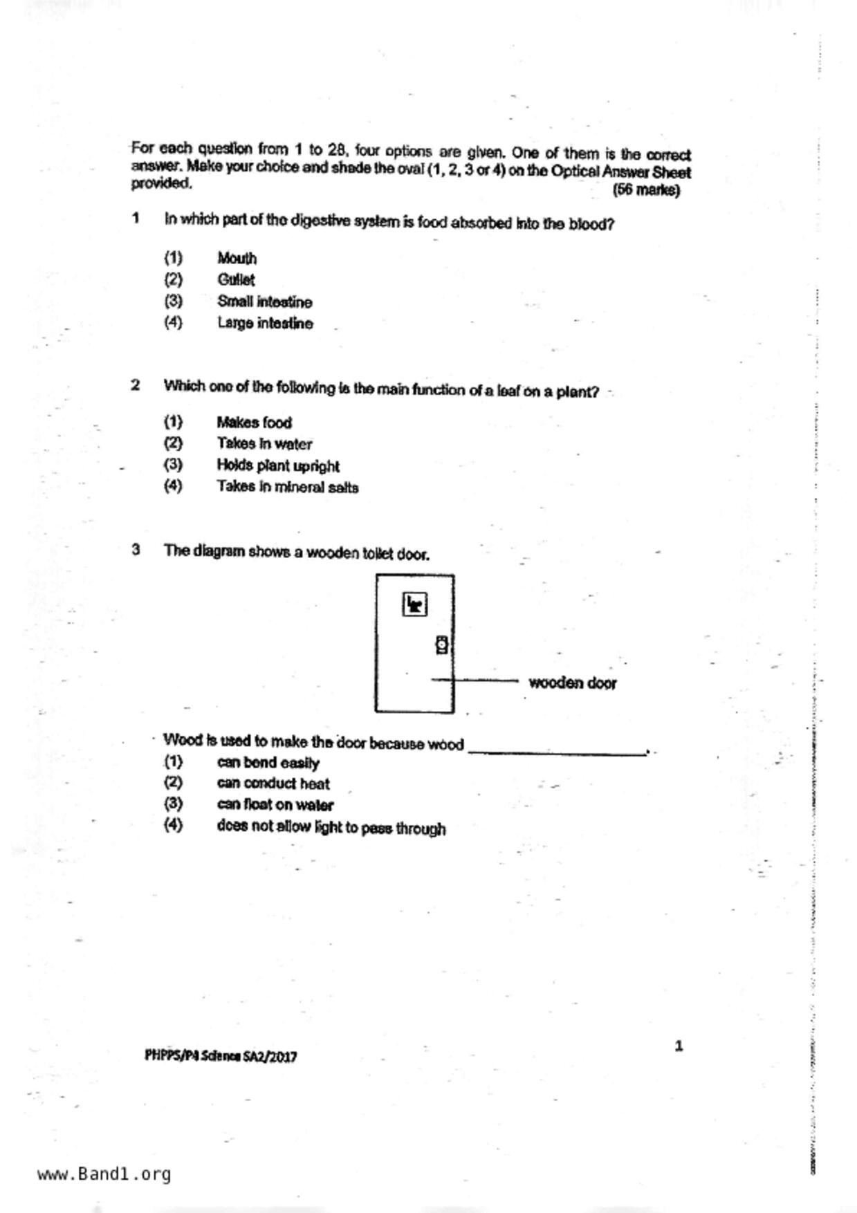 P4Science試卷